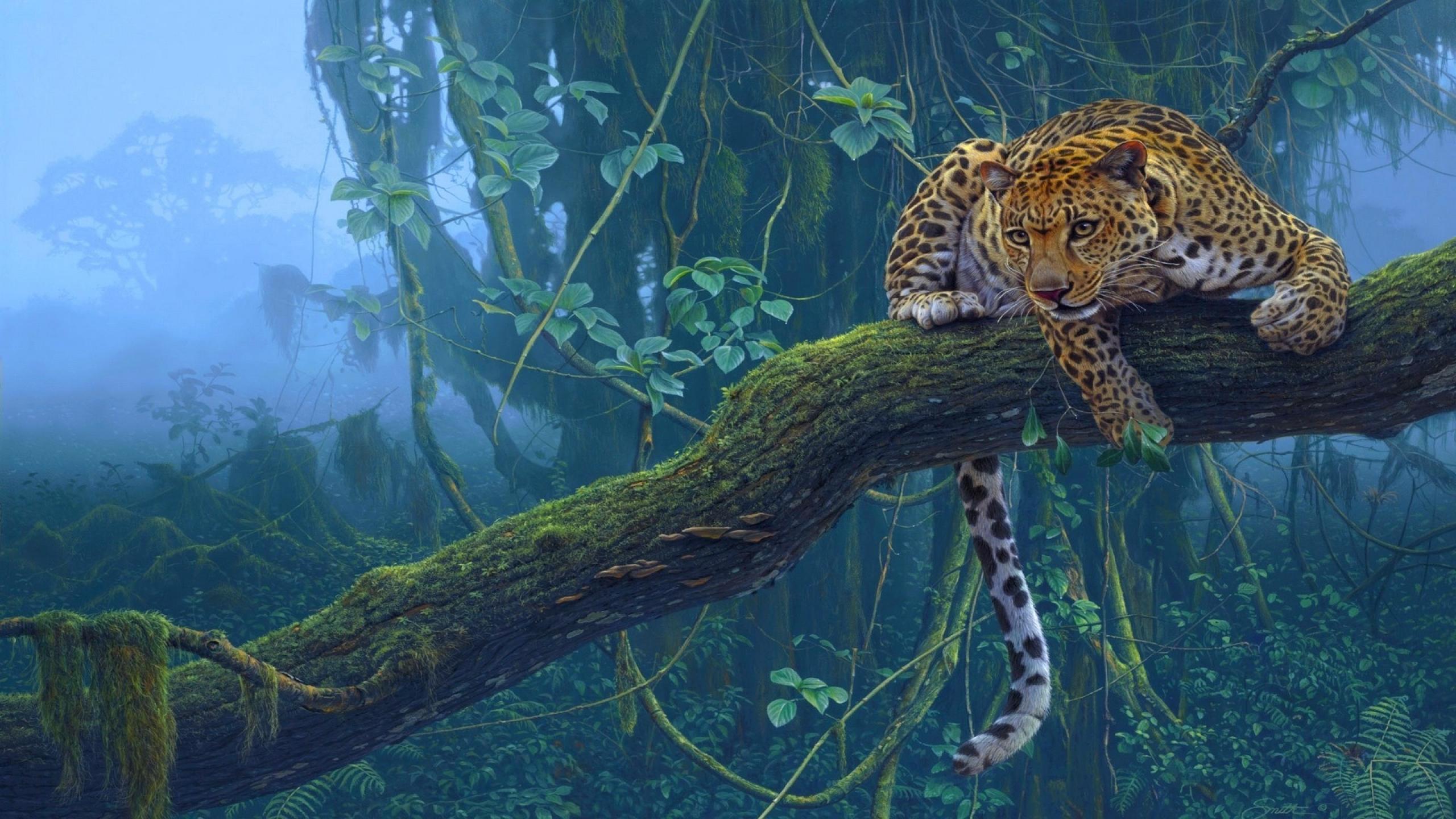 43 Rainforest HD Wallpapers