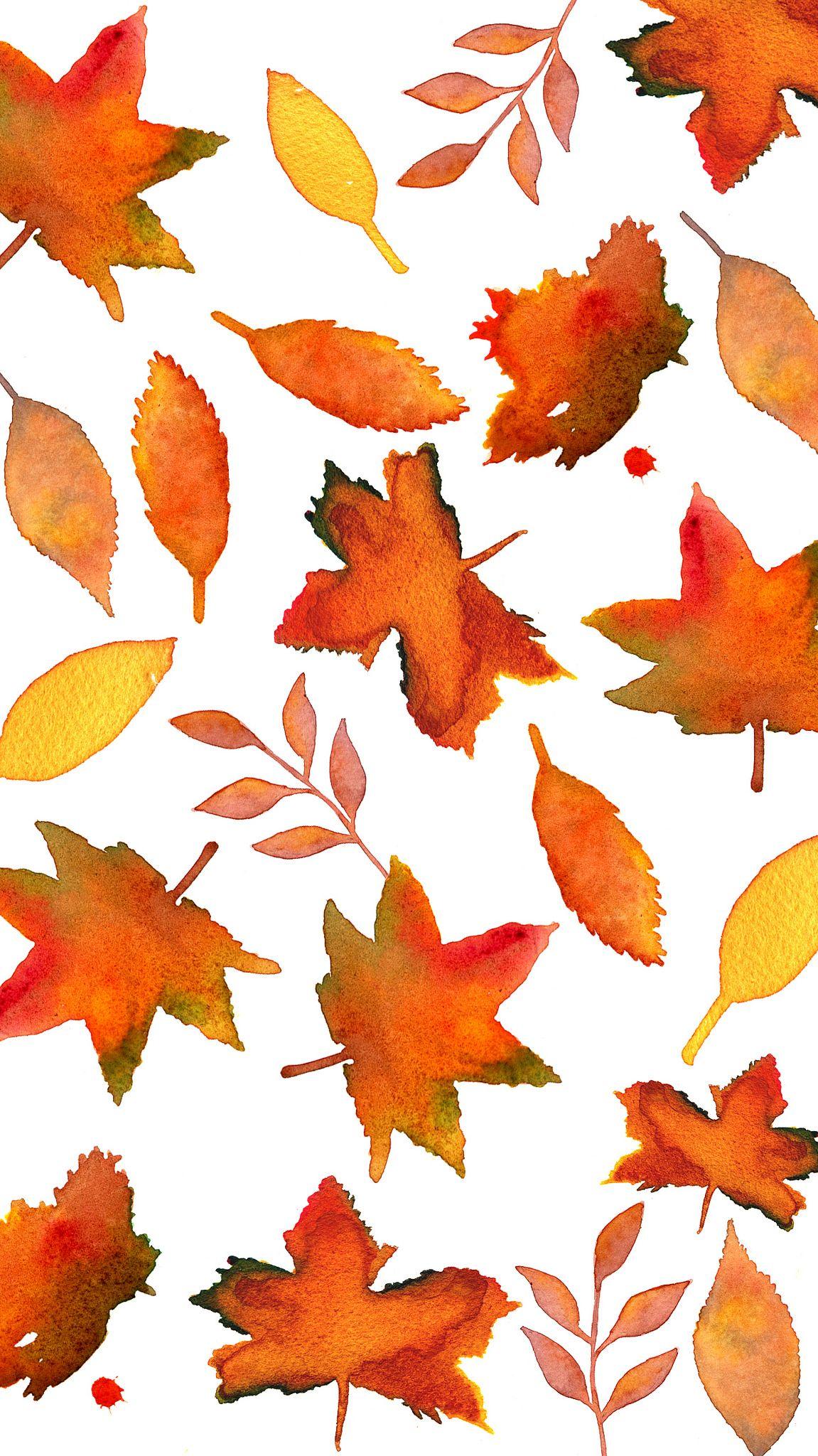 Fall Autumn Leaves Background wallpaper