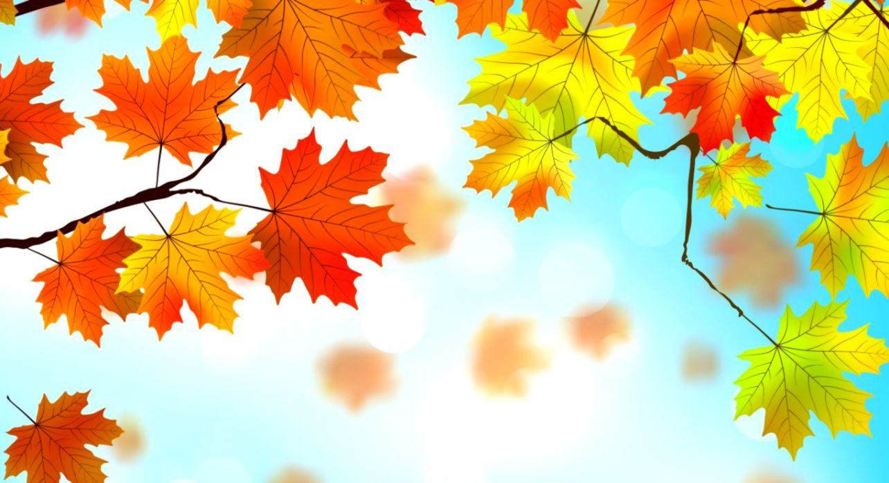 Leaves Autumn Wallpapers Wallpaper Cave
