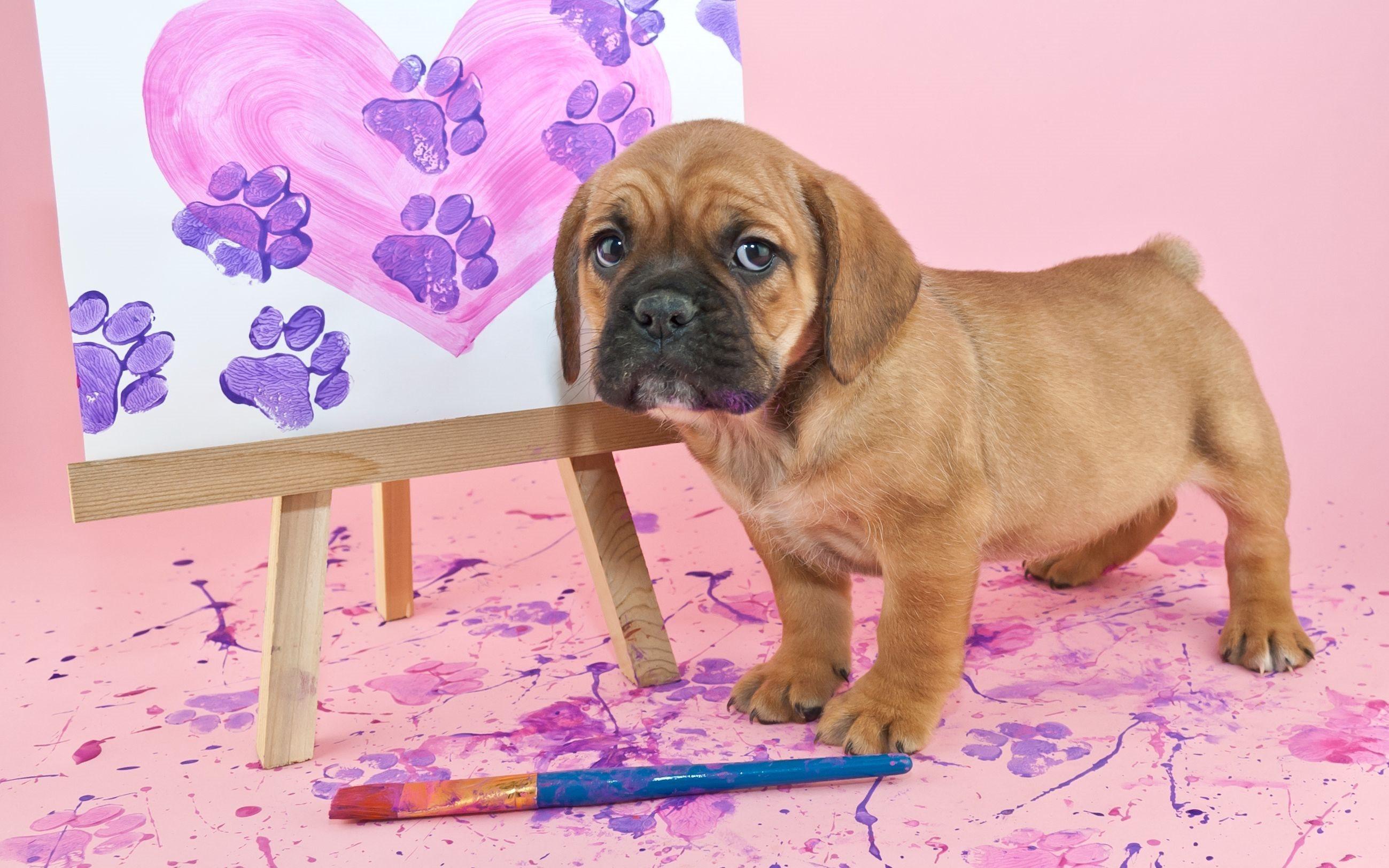 Download Wallpaper Easel, Paint, Brush, Puppy Artist
