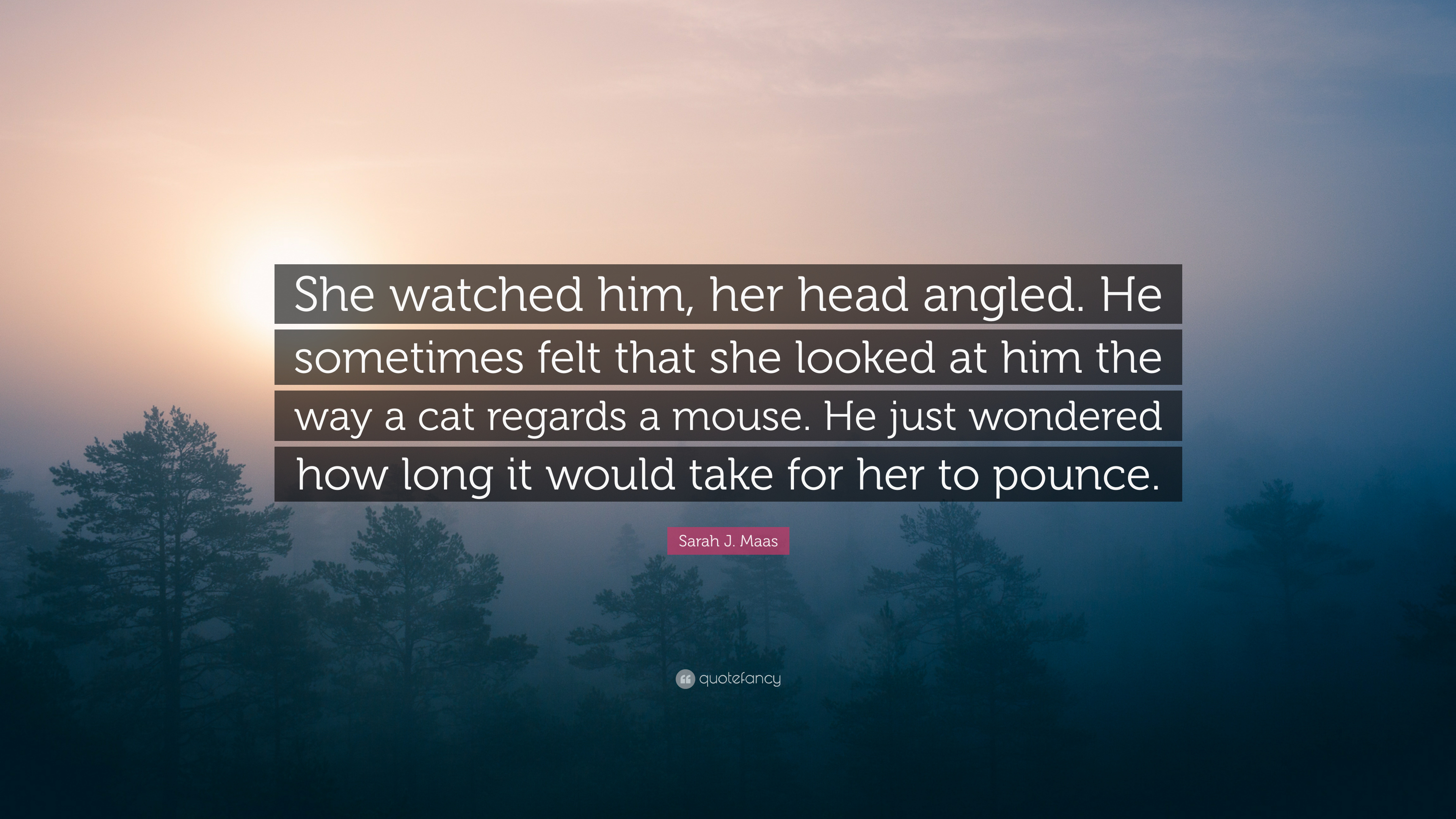 Sarah J. Maas Quote: “She watched him, her head angled. He
