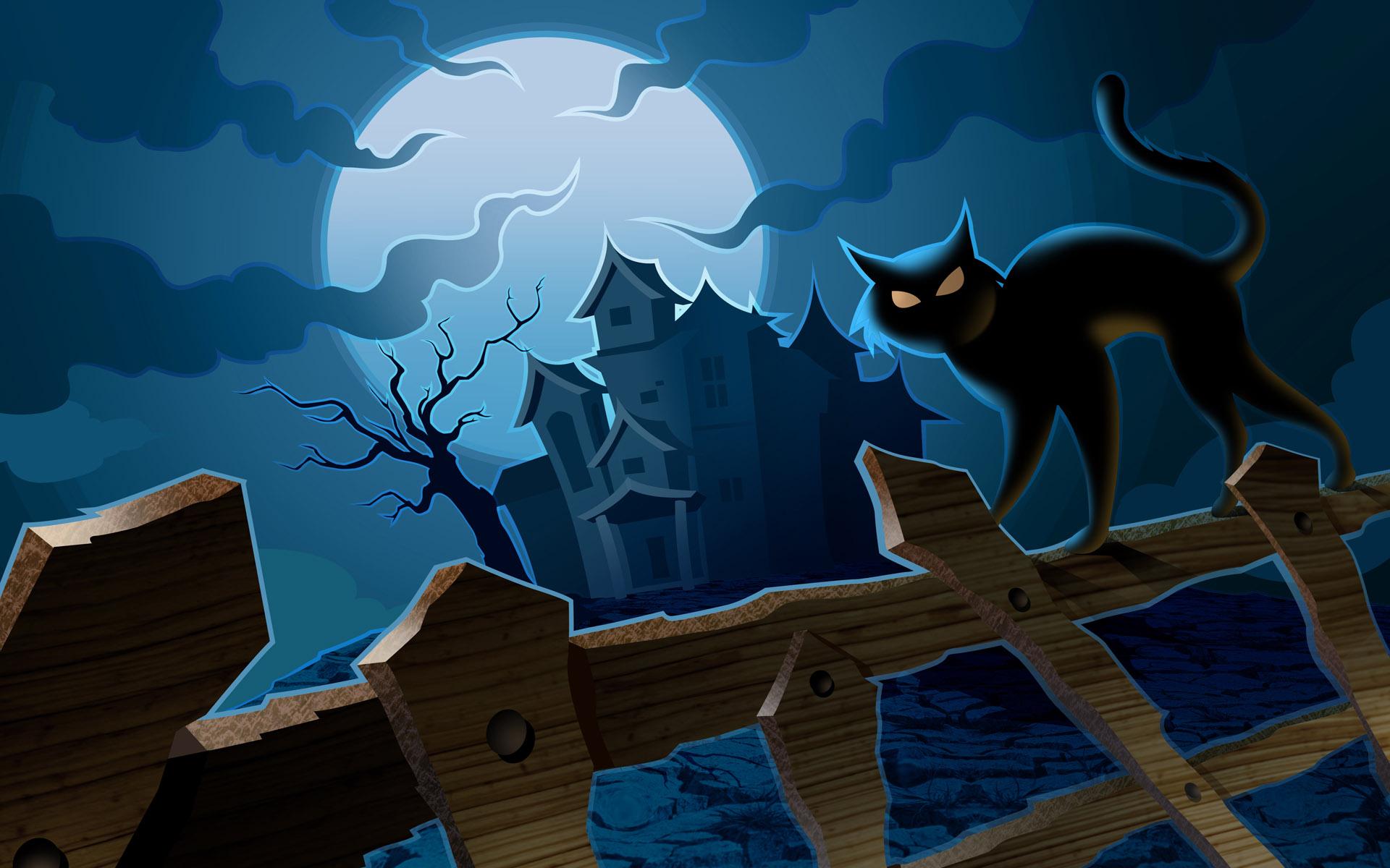 Halloween Witch Cat Wallpaper
