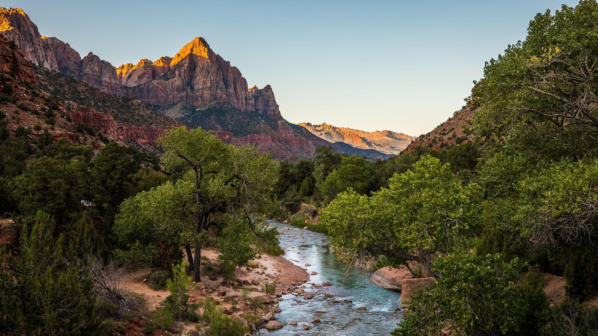 The Watchman and Virgin River at sunrise, Zion National Park