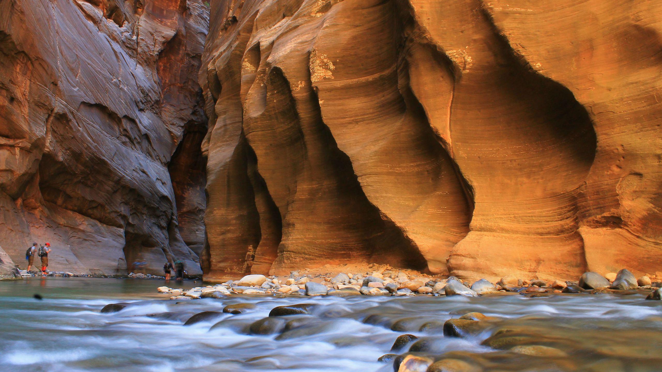 The Virgin River in Zion National Park id: 157034