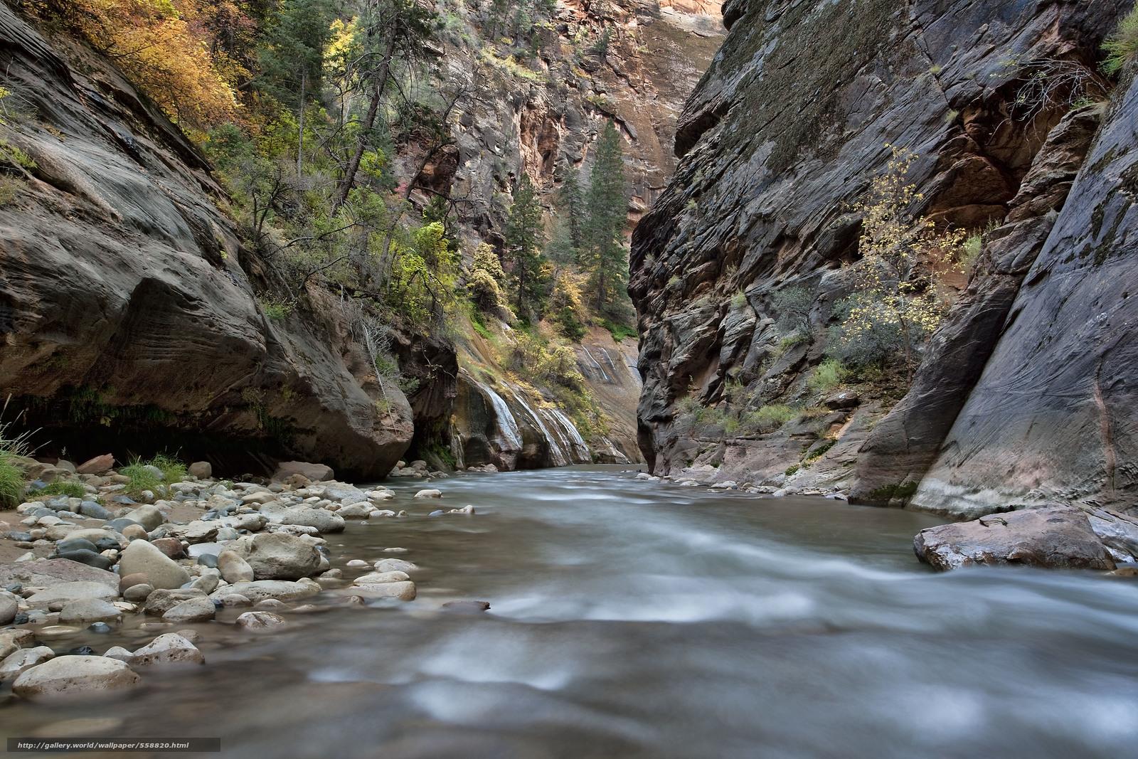 Download wallpaper Virgin River, Zion National Park, Utah