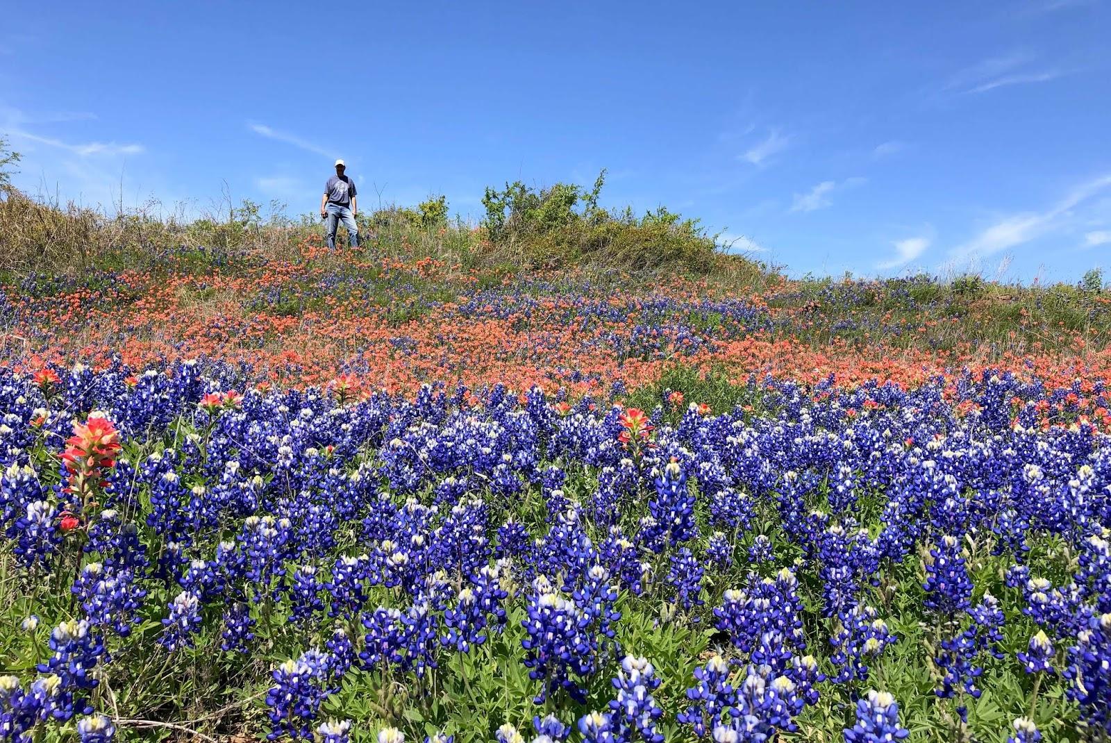 Wandering His Wonders: Life is Good at Proctor Lake