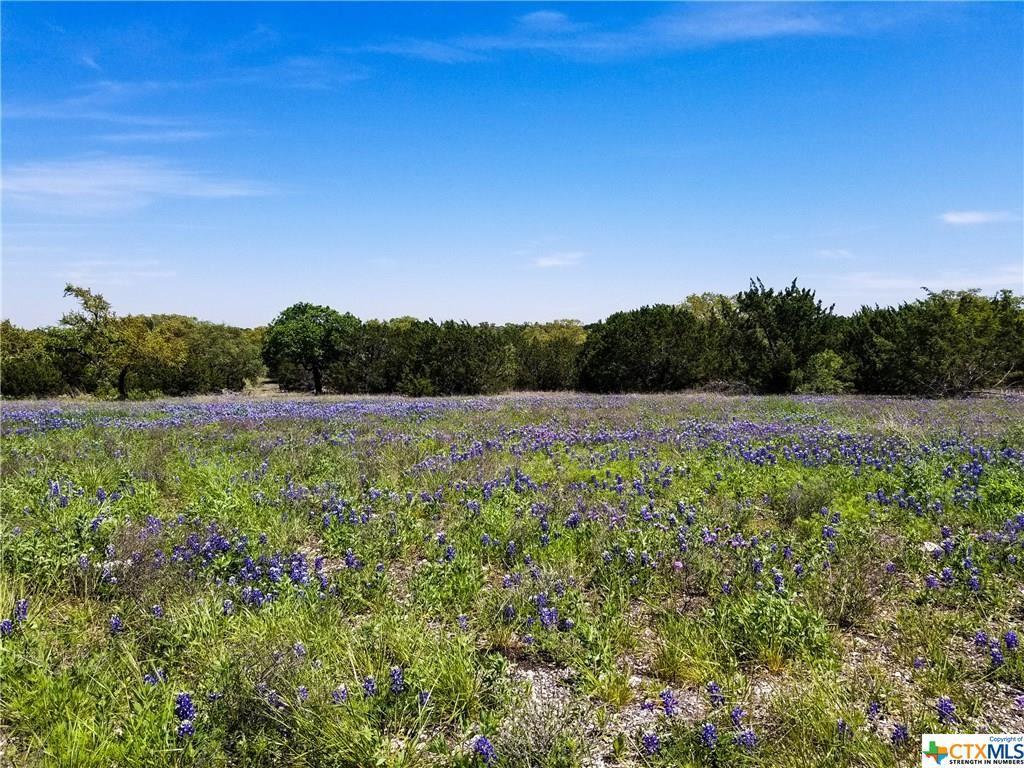 RAIN LILY Court, Burnet, TX 78611 MLS # 374651