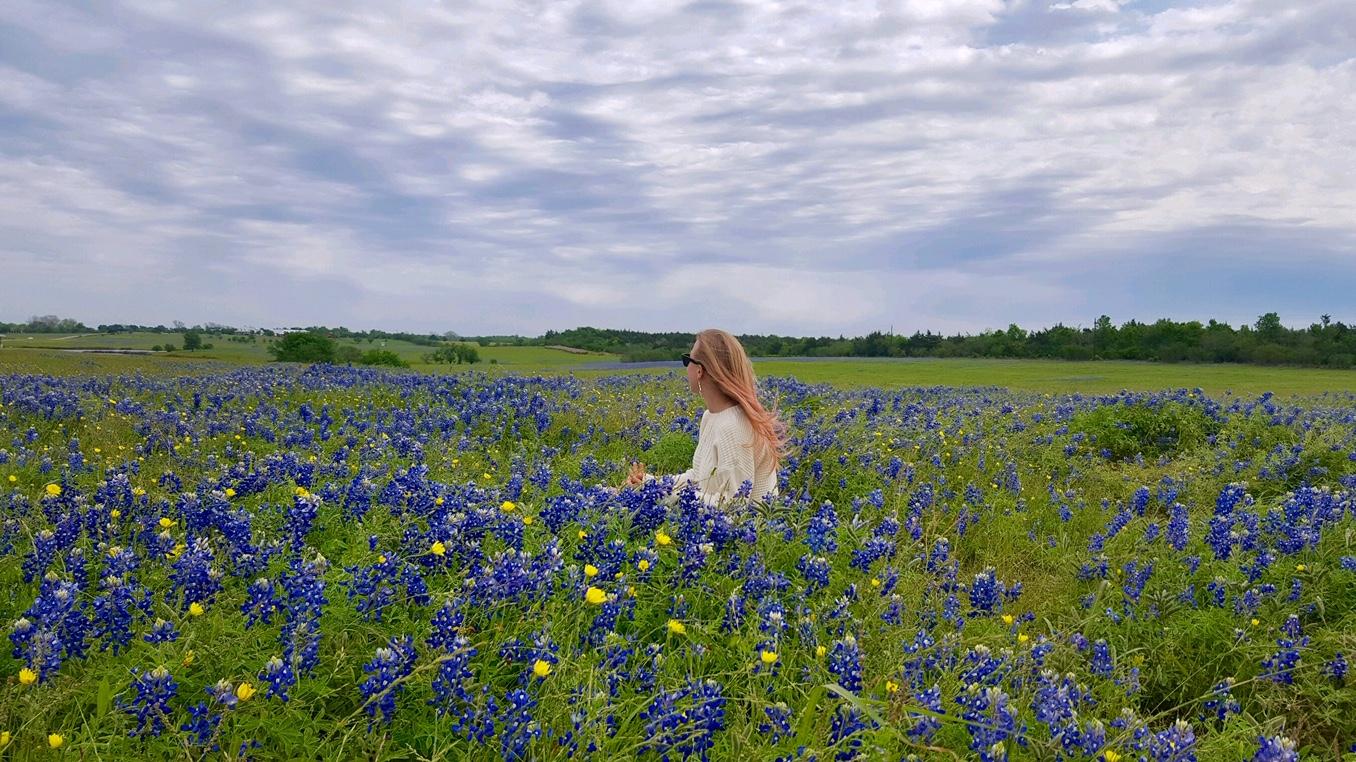 Where to Take Picture of Bluebonnets in Texas