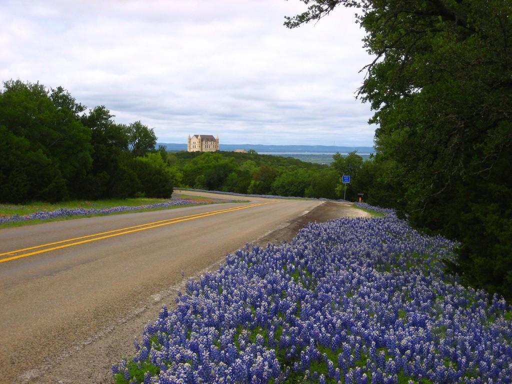 The Best Spots to See Bluebonnets in Texas this Spring
