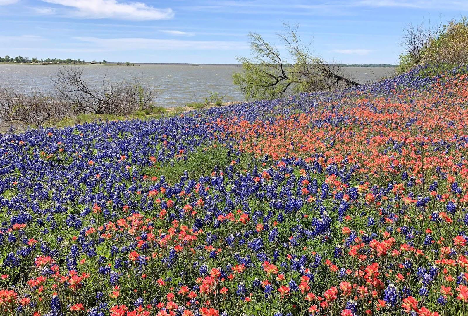 Wandering His Wonders: Life is Good at Proctor Lake