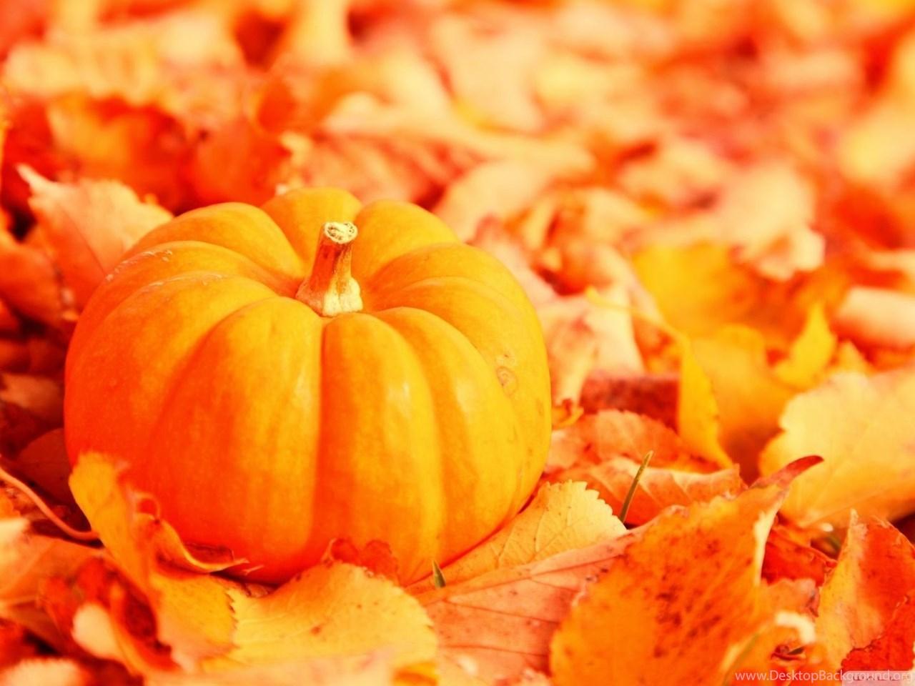 Pumpkin And Happy Thanksgiving Wallpaper Desktop Background