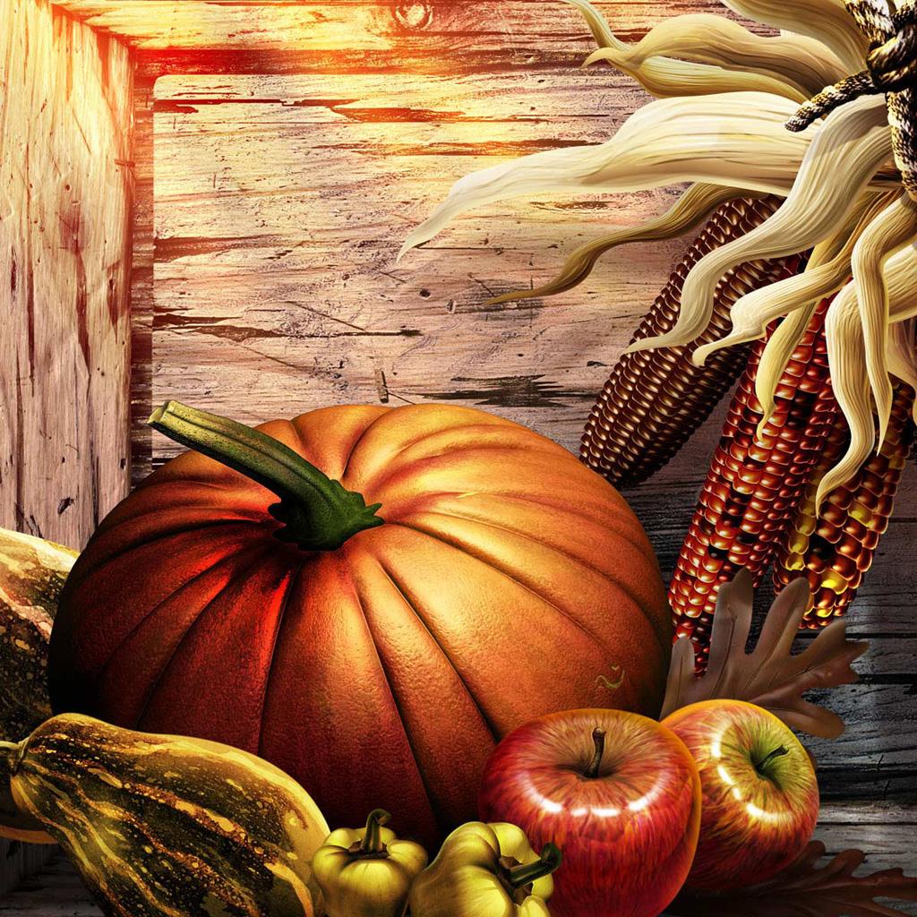 Free Thanksgiving Wallpaper for iPad: Bumper Harvest