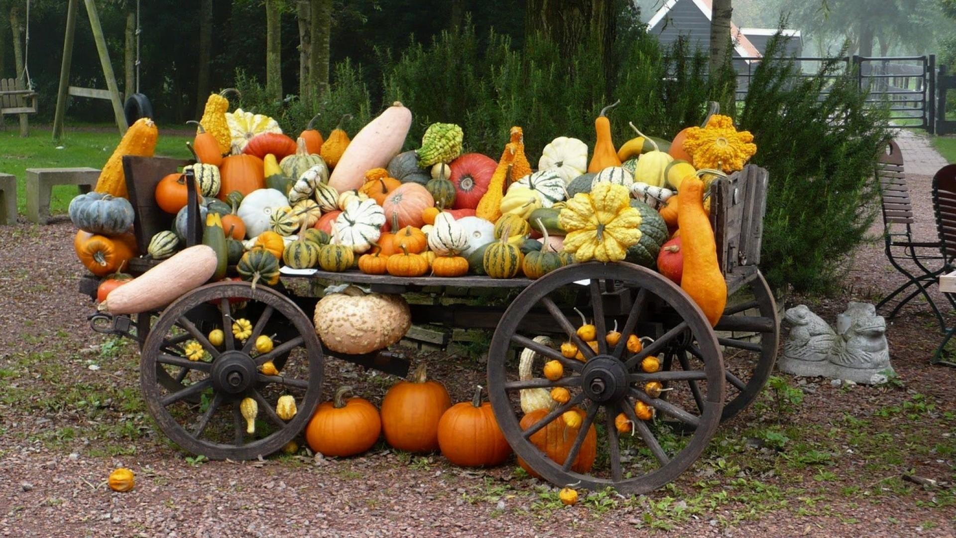 Fall Wallpaper Background With Pumpkins