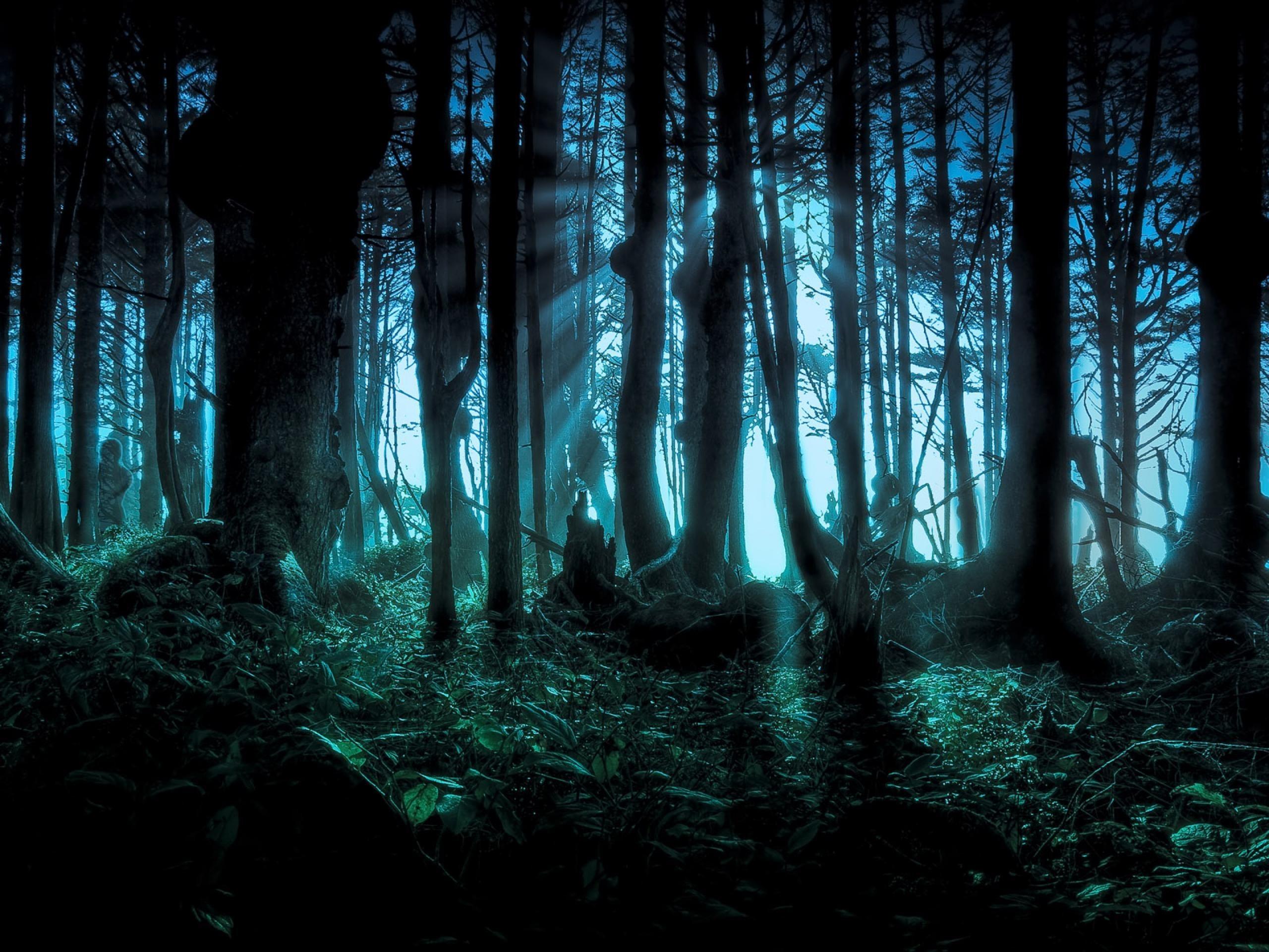 Spooky Forest Wallpaper