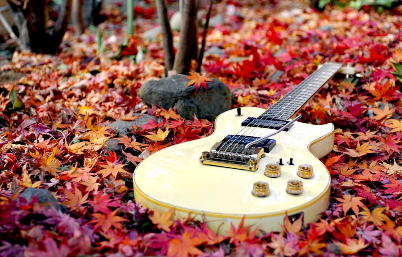 Wallpaper guitar, forest, autumn, leaves image for desktop