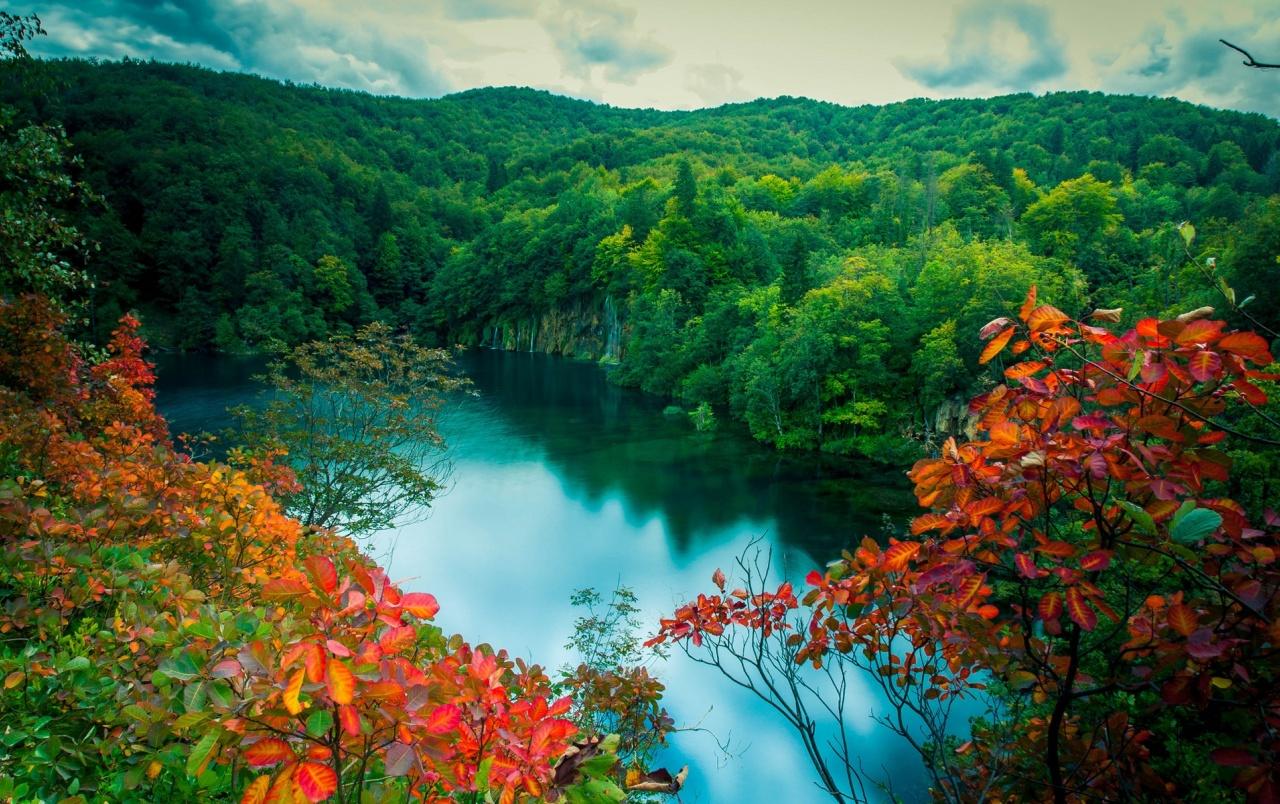 Green Forest Red Leaves River wallpaper. Green Forest Red