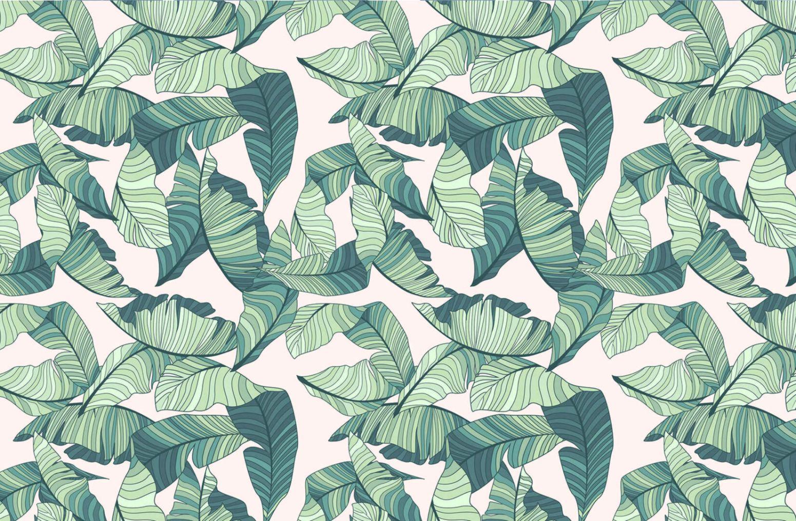 Tropical Wallpaper Designs