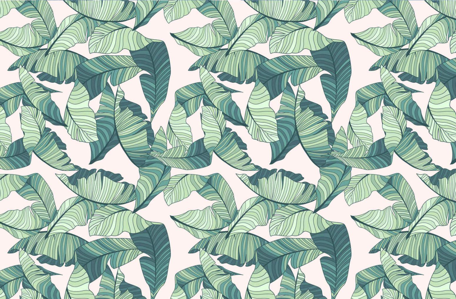 Tropical Wallpaper Designs