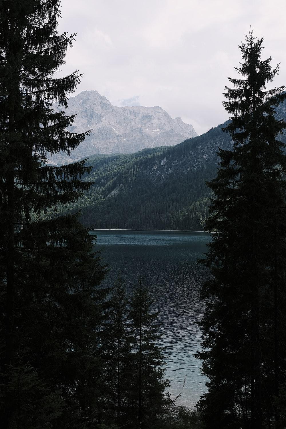 Eibsee, Grainau, Germany Picture. Download Free Image