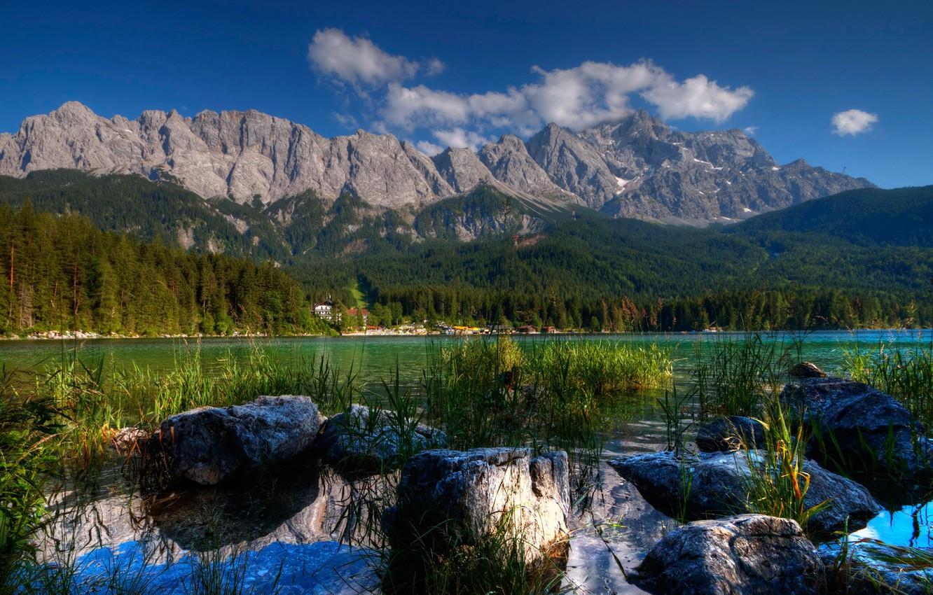 Wallpaper forest, clouds, trees, mountains, lake, the reeds