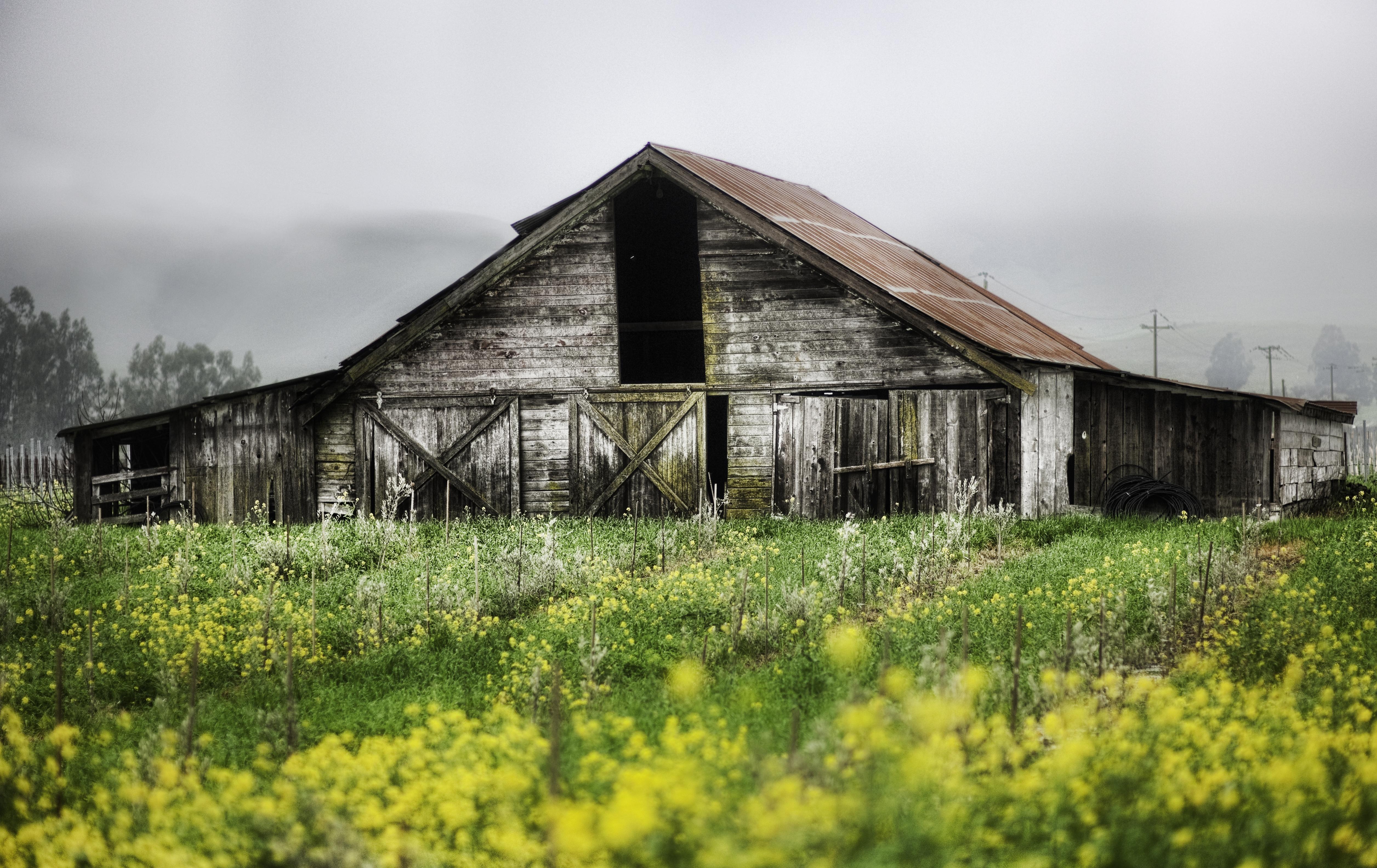 Shed Wallpapers - Wallpaper Cave