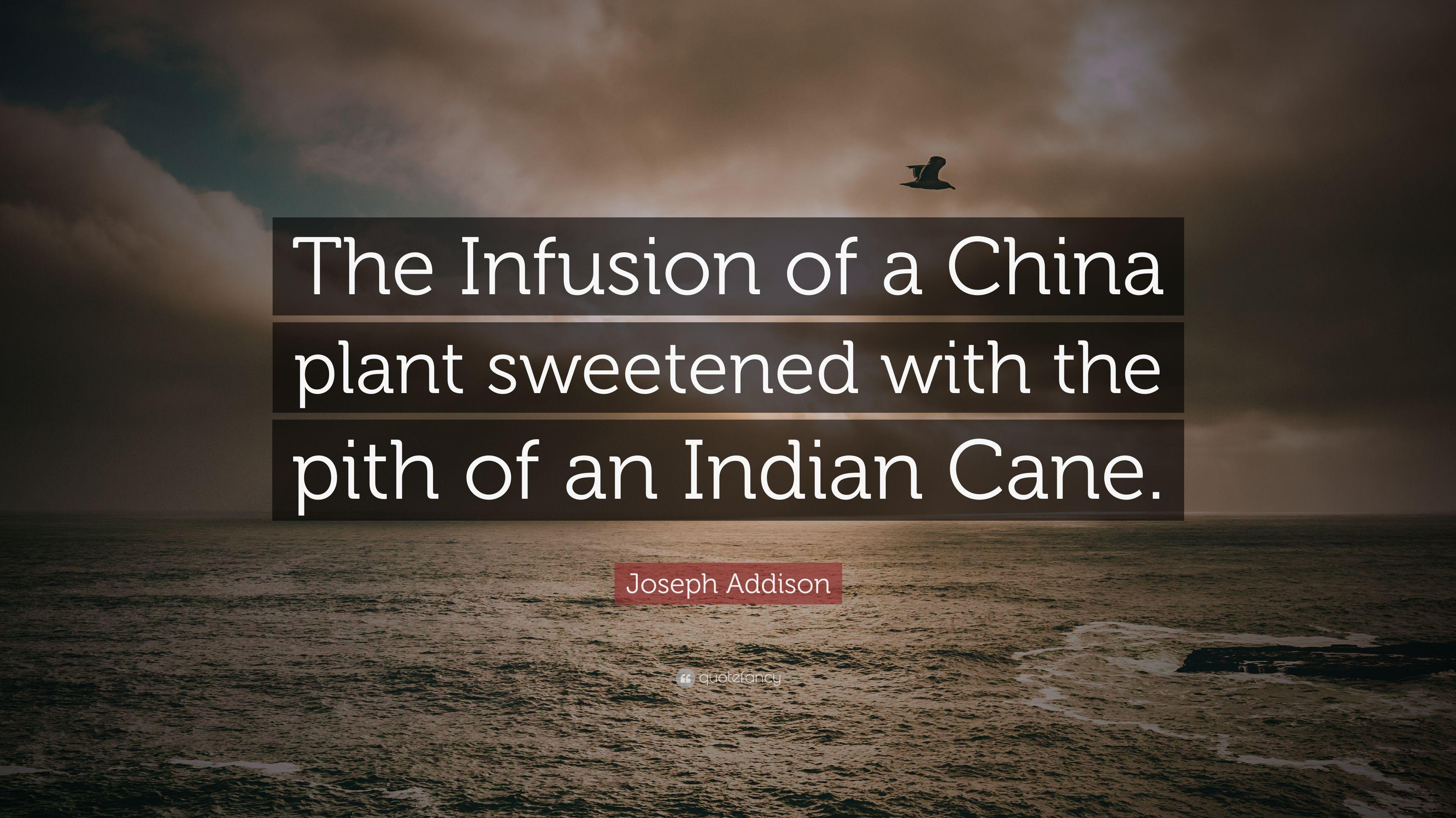 Joseph Addison Quote: “The Infusion of a China plant
