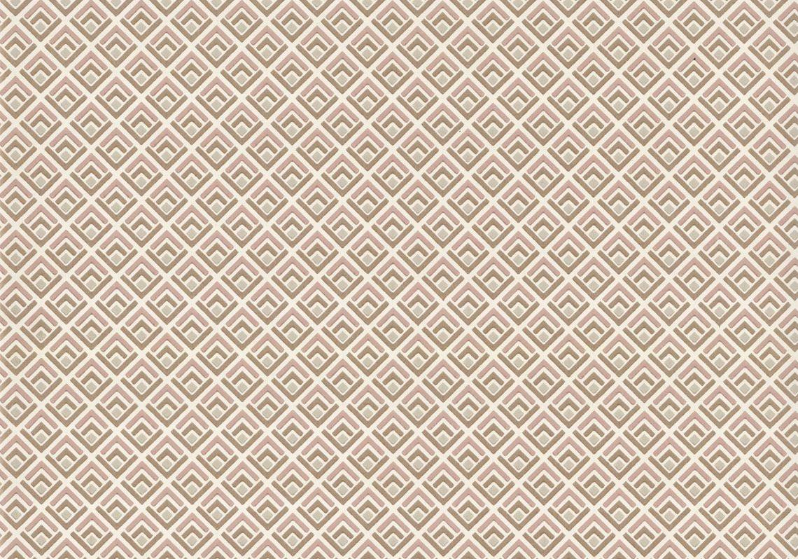 Camellia Gio Pink 112 04