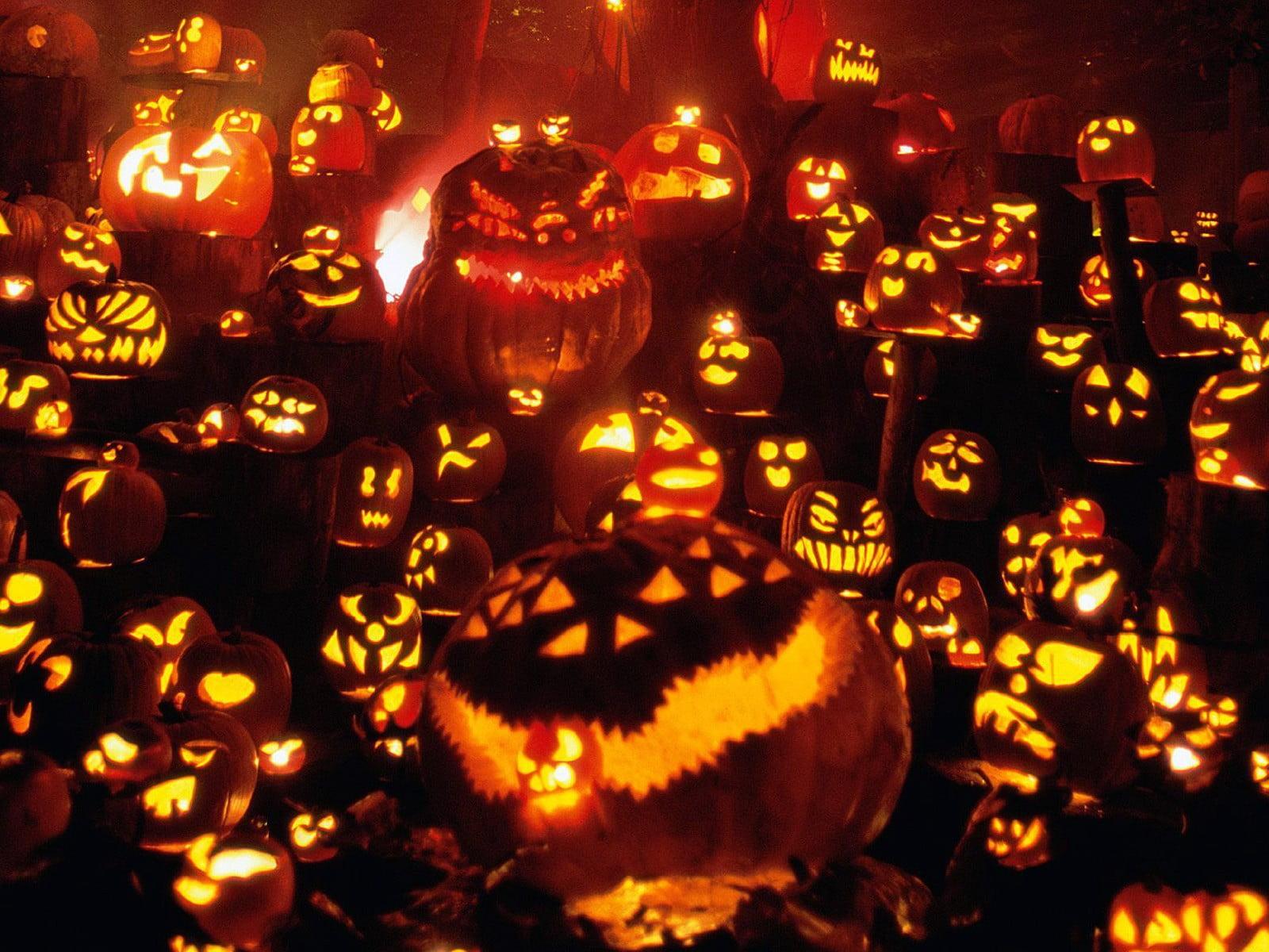 Jack O' Lantern 3D Wallpaper, Halloween, Pumpkin, Jack O' Lantern HD Wallpaper