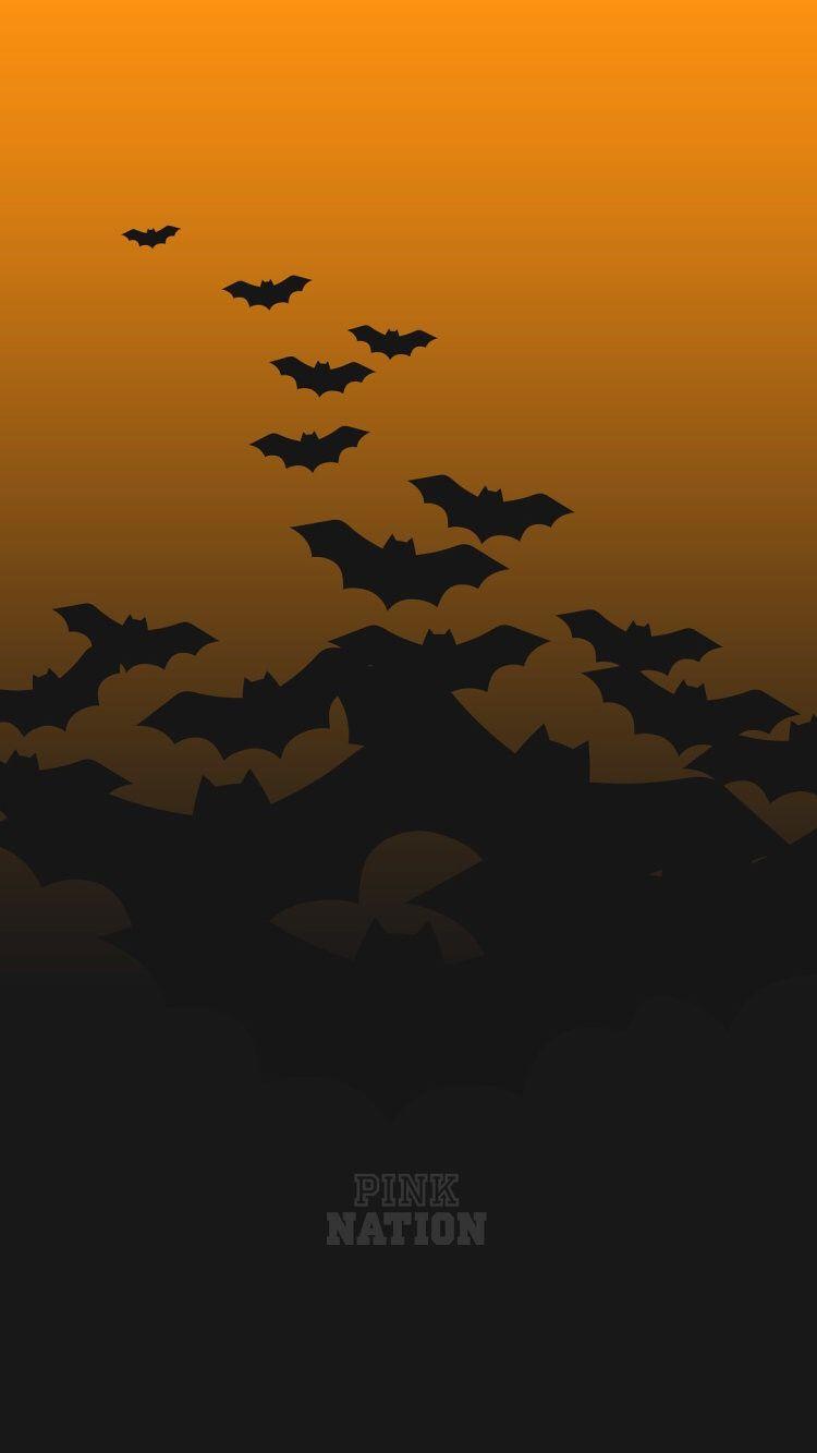 pinknation #bats #orange #black #halloween. Wallpaper