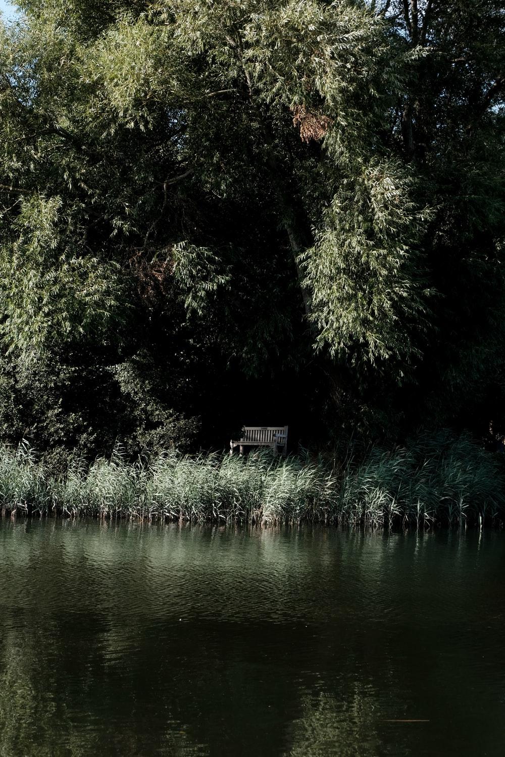 Take A Seat Picture. Download Free Image