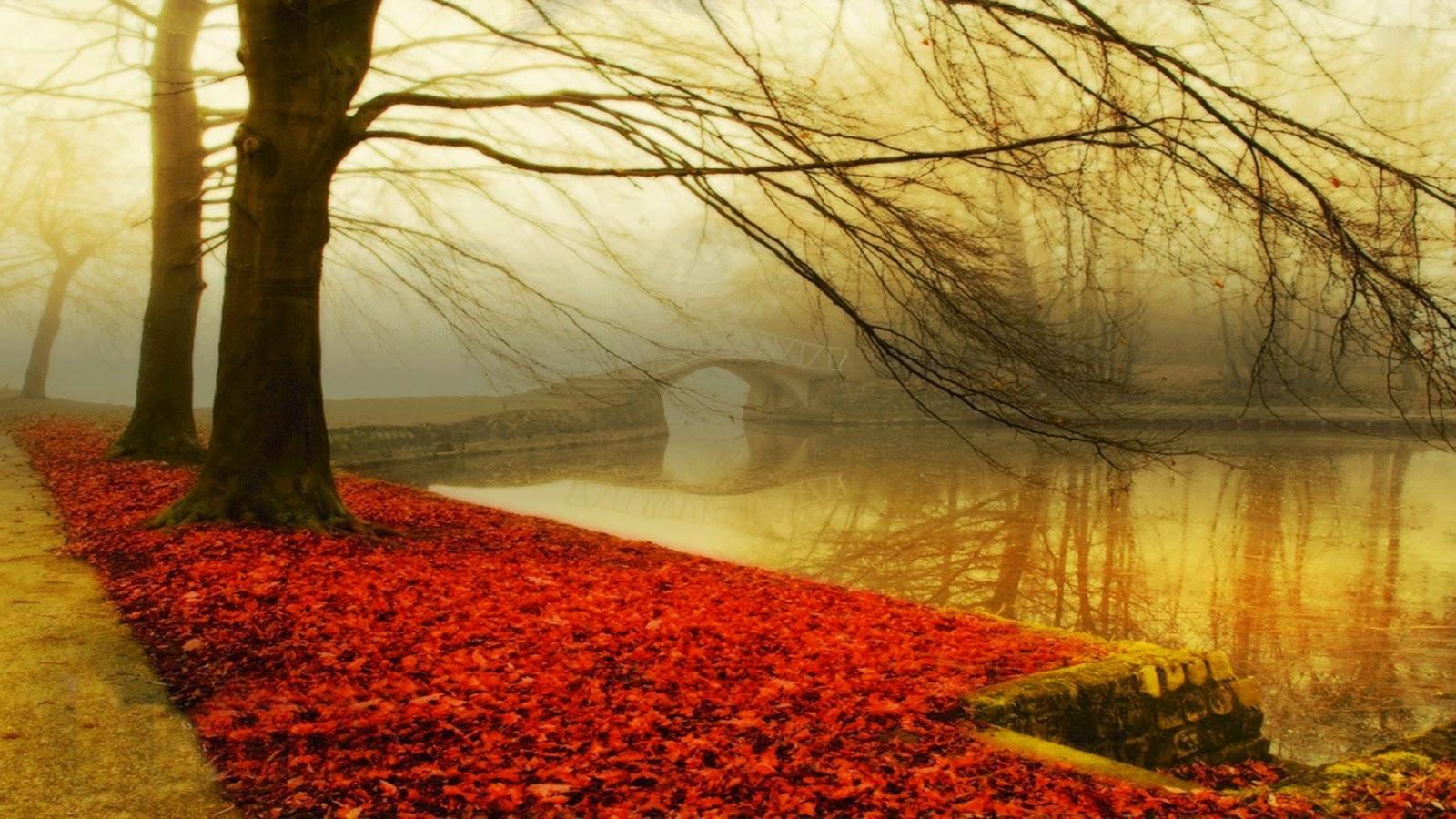 Beautiful Autumn Riverside Park Wallpaper