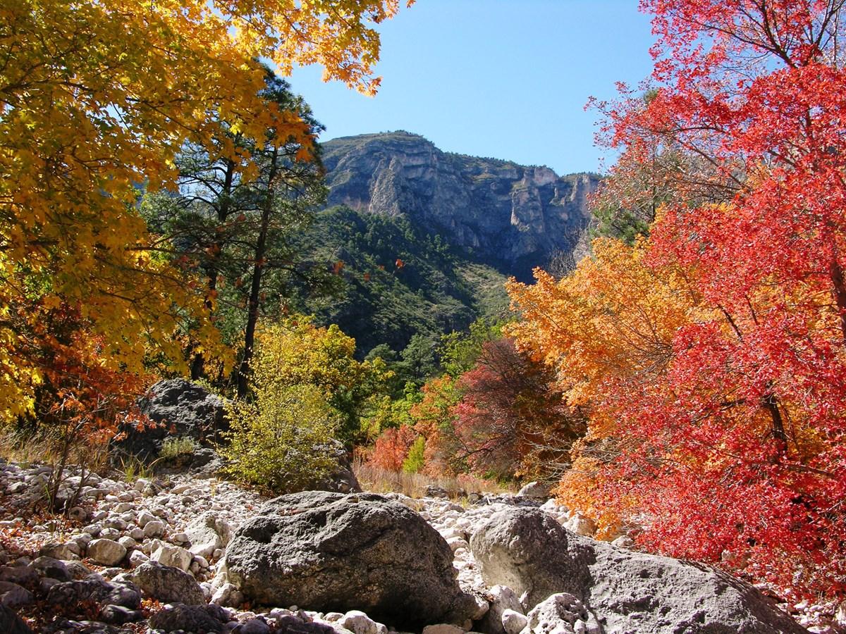 Fall Colors Report Mountains National Park U.S