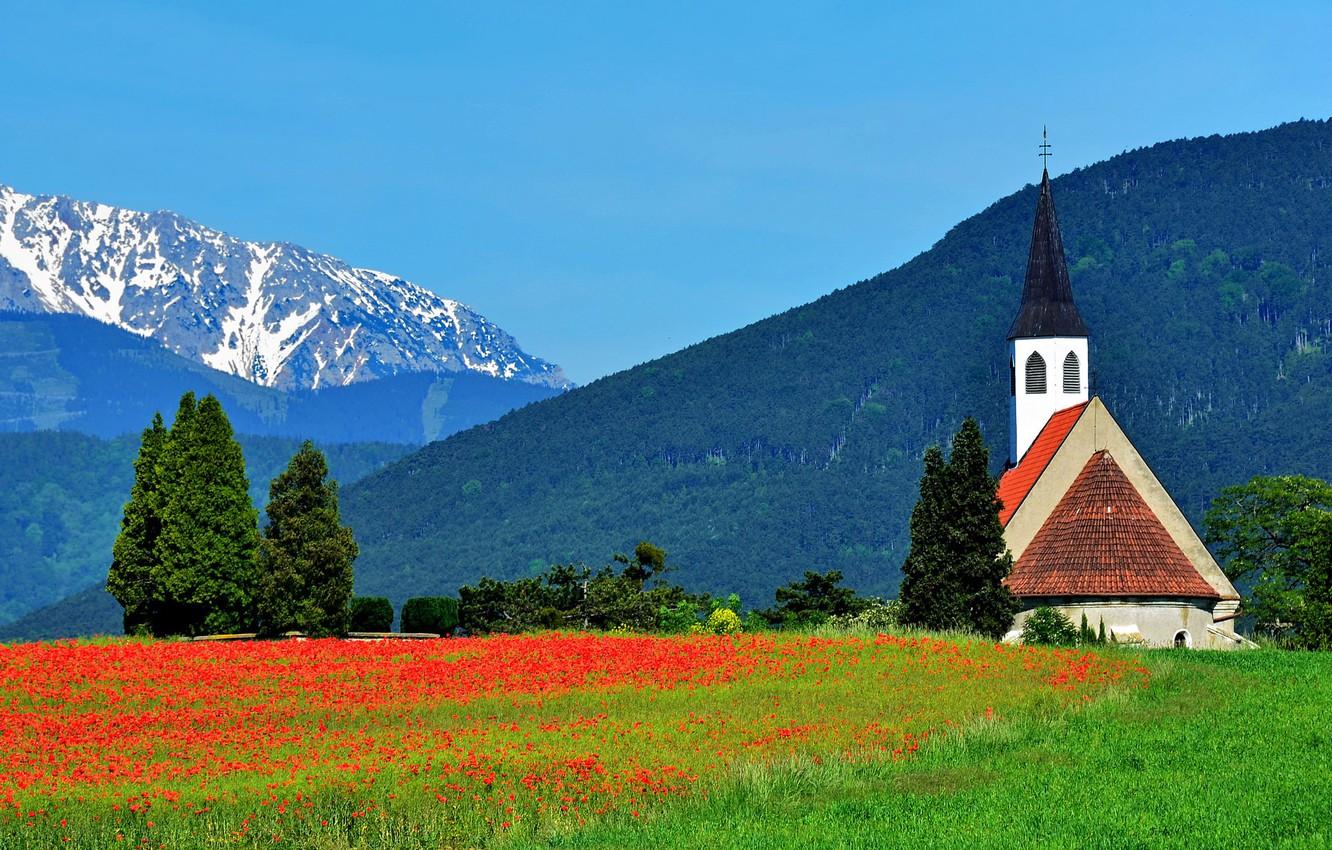 Wallpaper trees, flowers, mountains, Maki, Austria, Alps