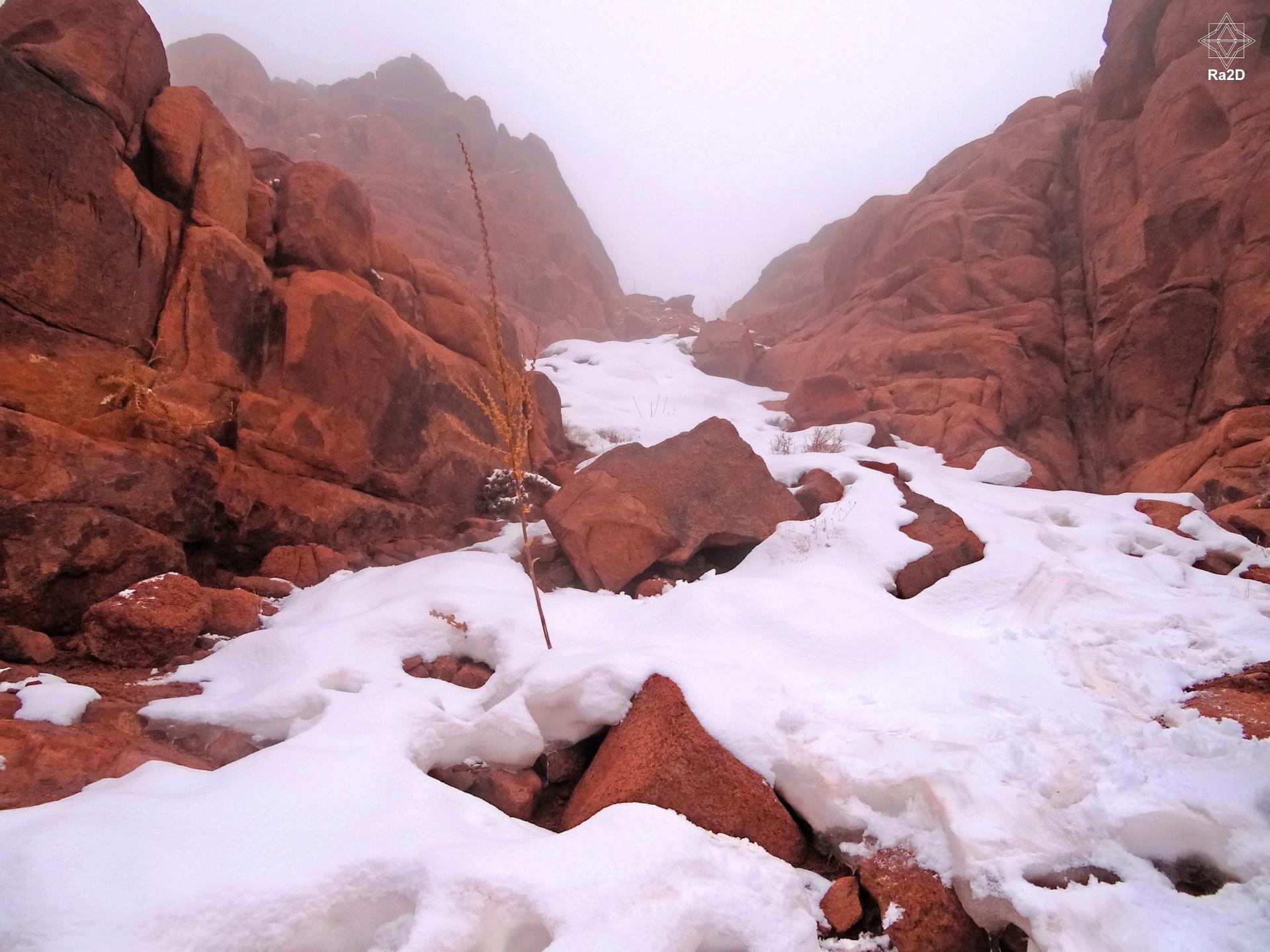 Egypt Sinai Saint Catherine Mountain Snow Ra2D