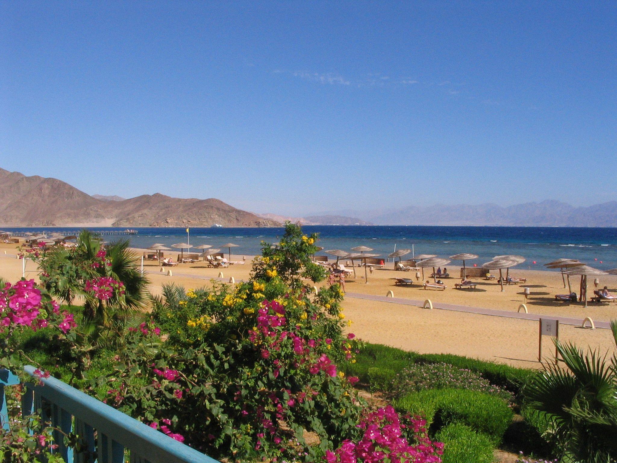 Flowers on the beach in the resort of Taba, Egypt wallpaper