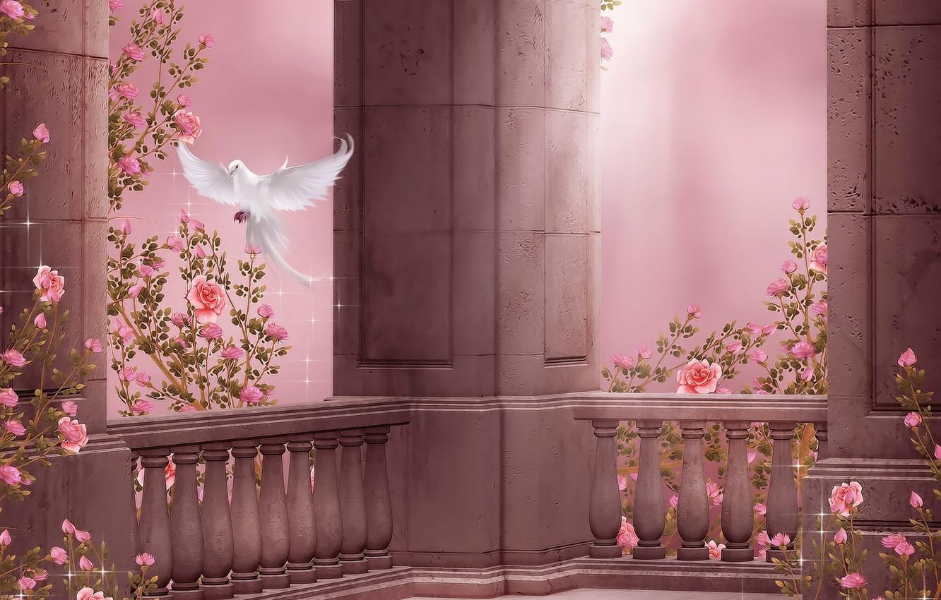 Wallpaper flowers, dove, roses, columns, flight, flowers