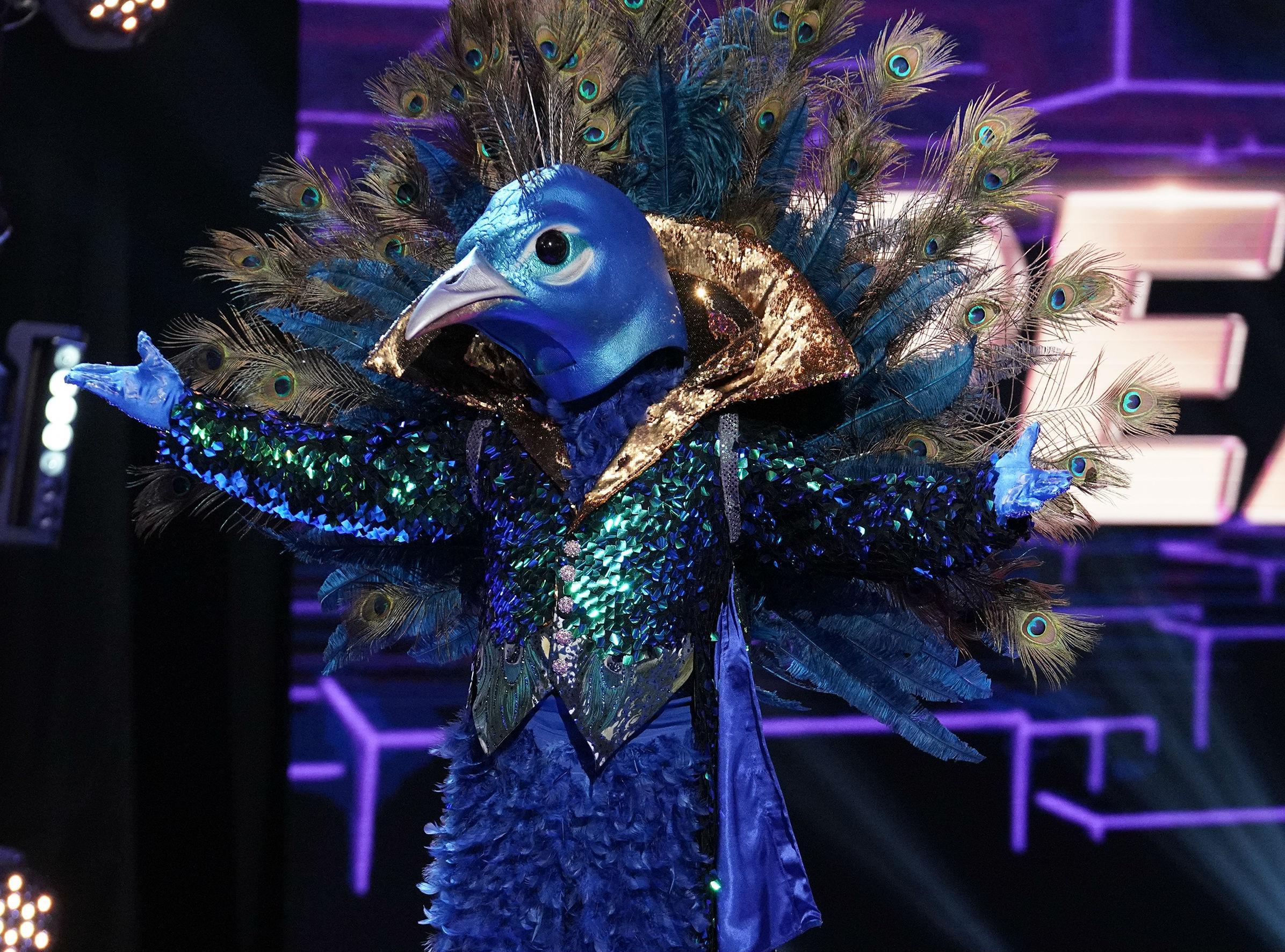 The Masked Singer' Spoilers: First Celebrity Participant