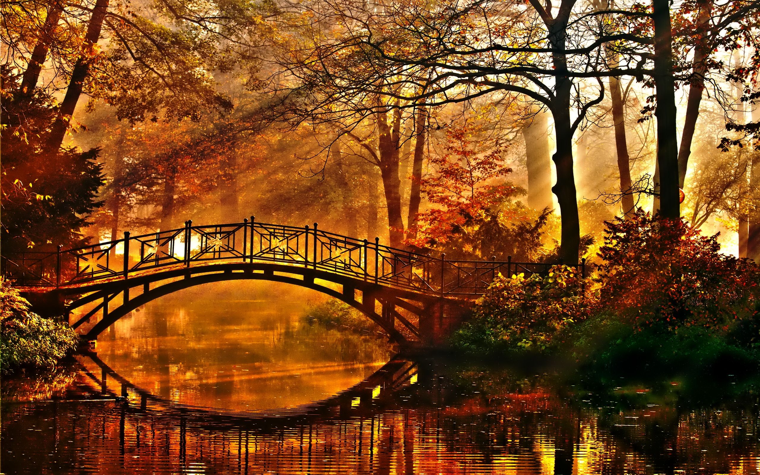 Autumn Bridge Wallpaper