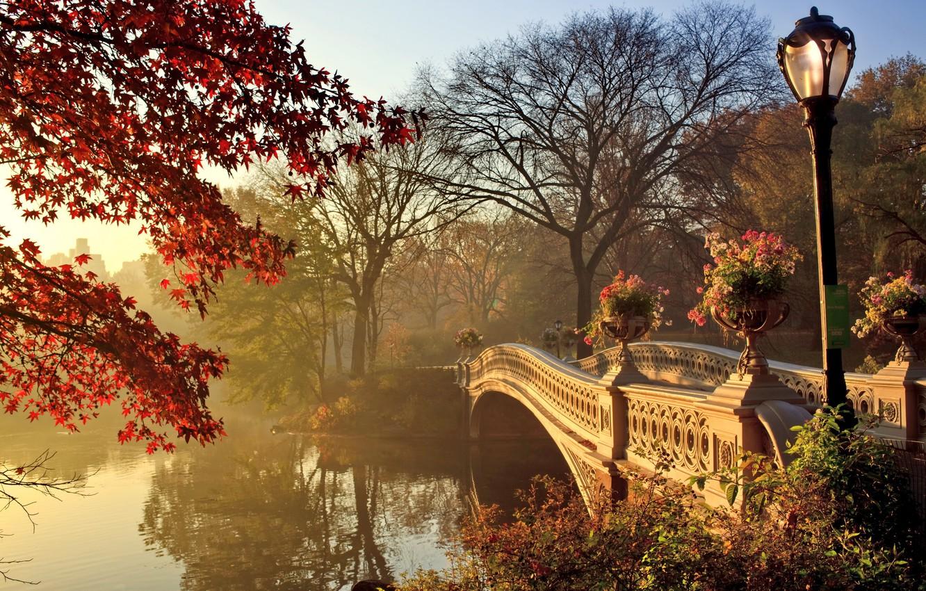 Wallpaper autumn, landscape, bridge, Park, bridge, park