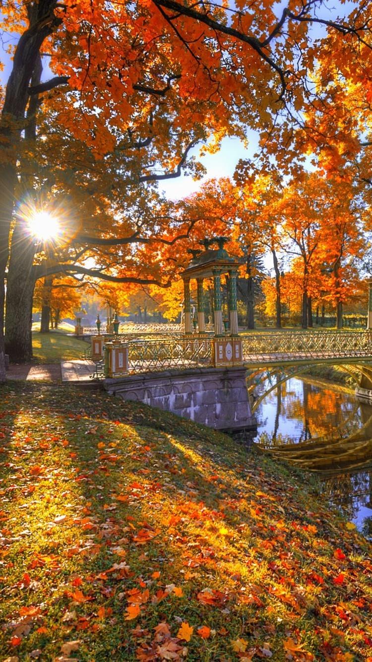 Park, trees, red leaves, autumn, bridge, sun rays, river