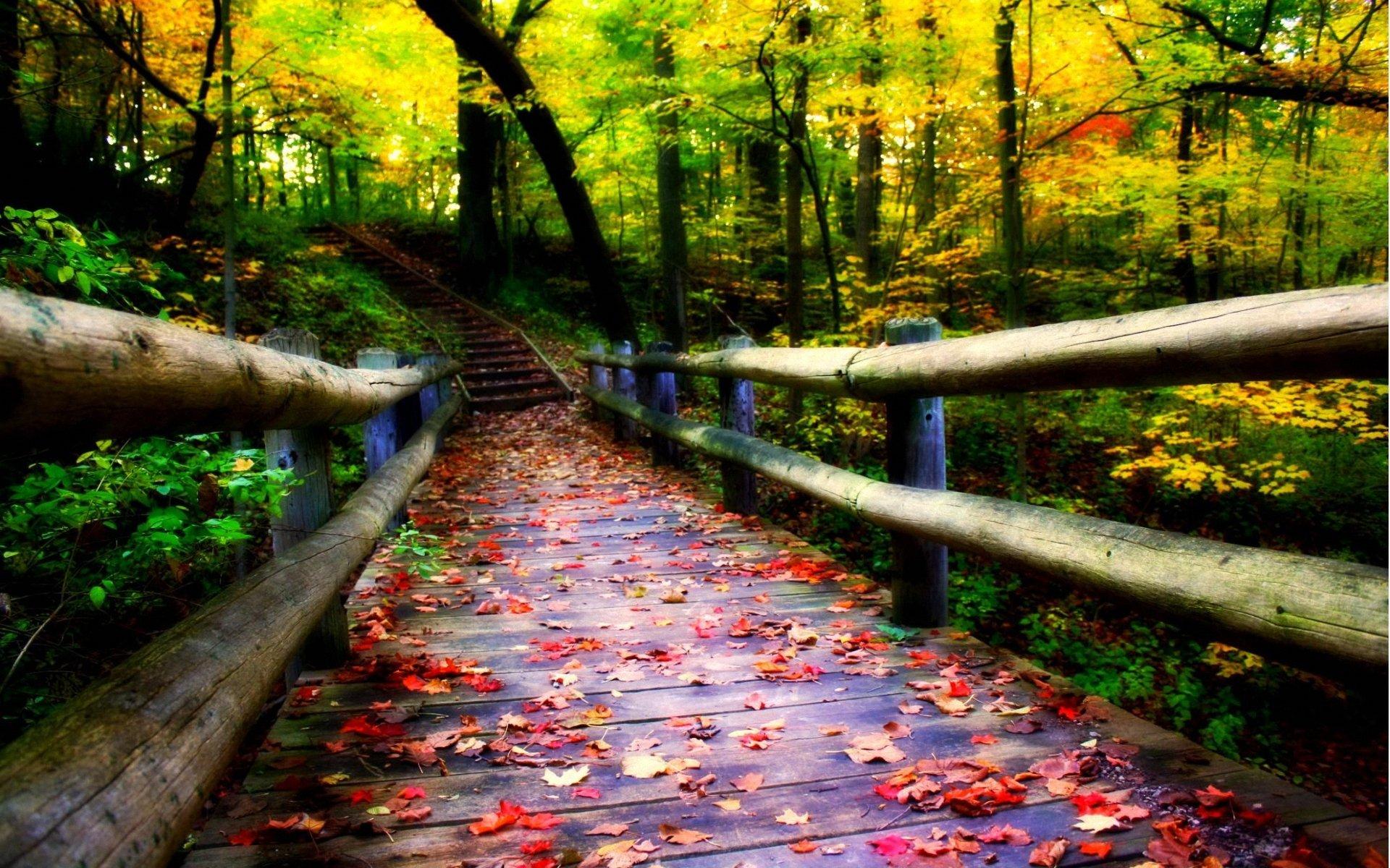 Picture sorted, NC: Autumn bridge