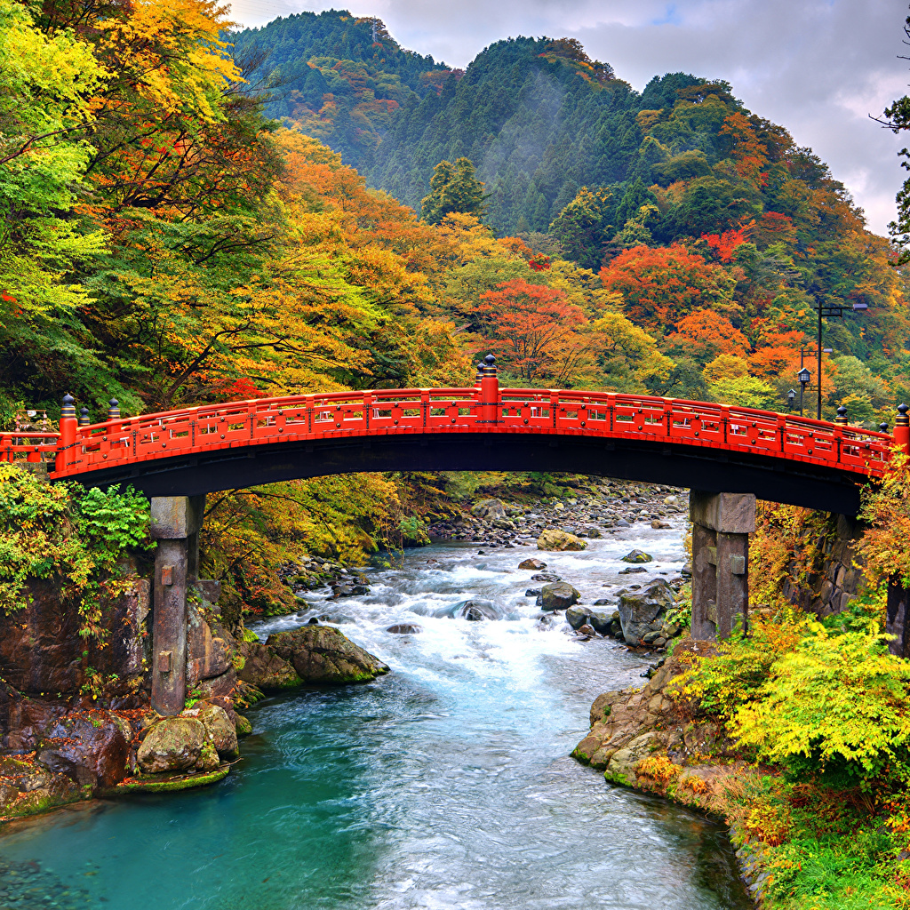 image Japan Shinkyo Bridge Nikko Nature Autumn Bridges