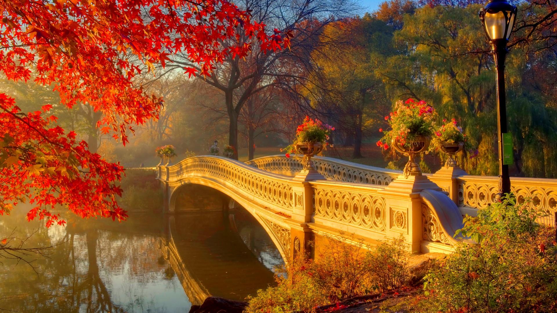 Central Park's Bow Bridge in Autumn HD Wallpaper