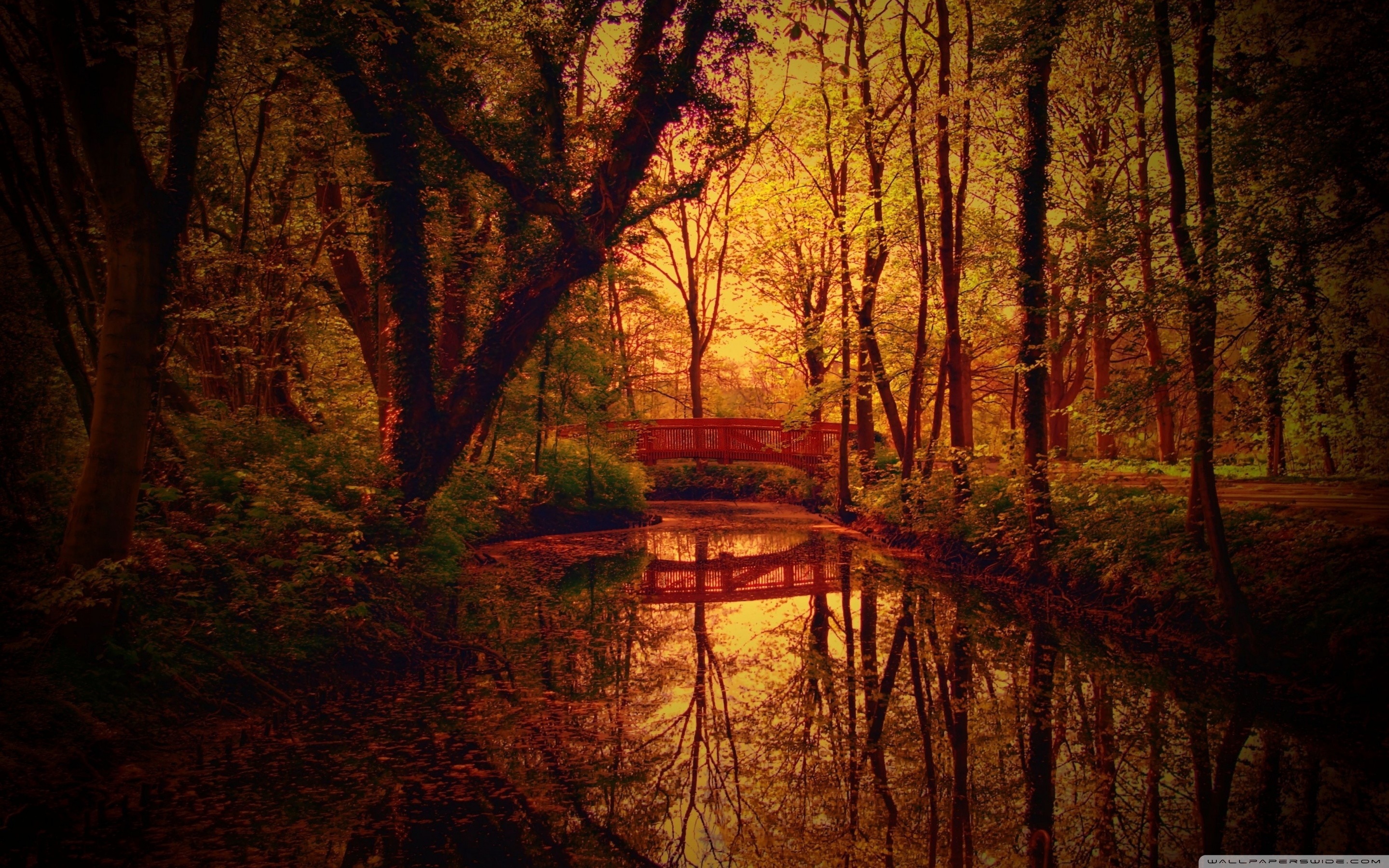 Park Bridge, Autumn ❤ 4K HD Desktop Wallpaper for 4K Ultra