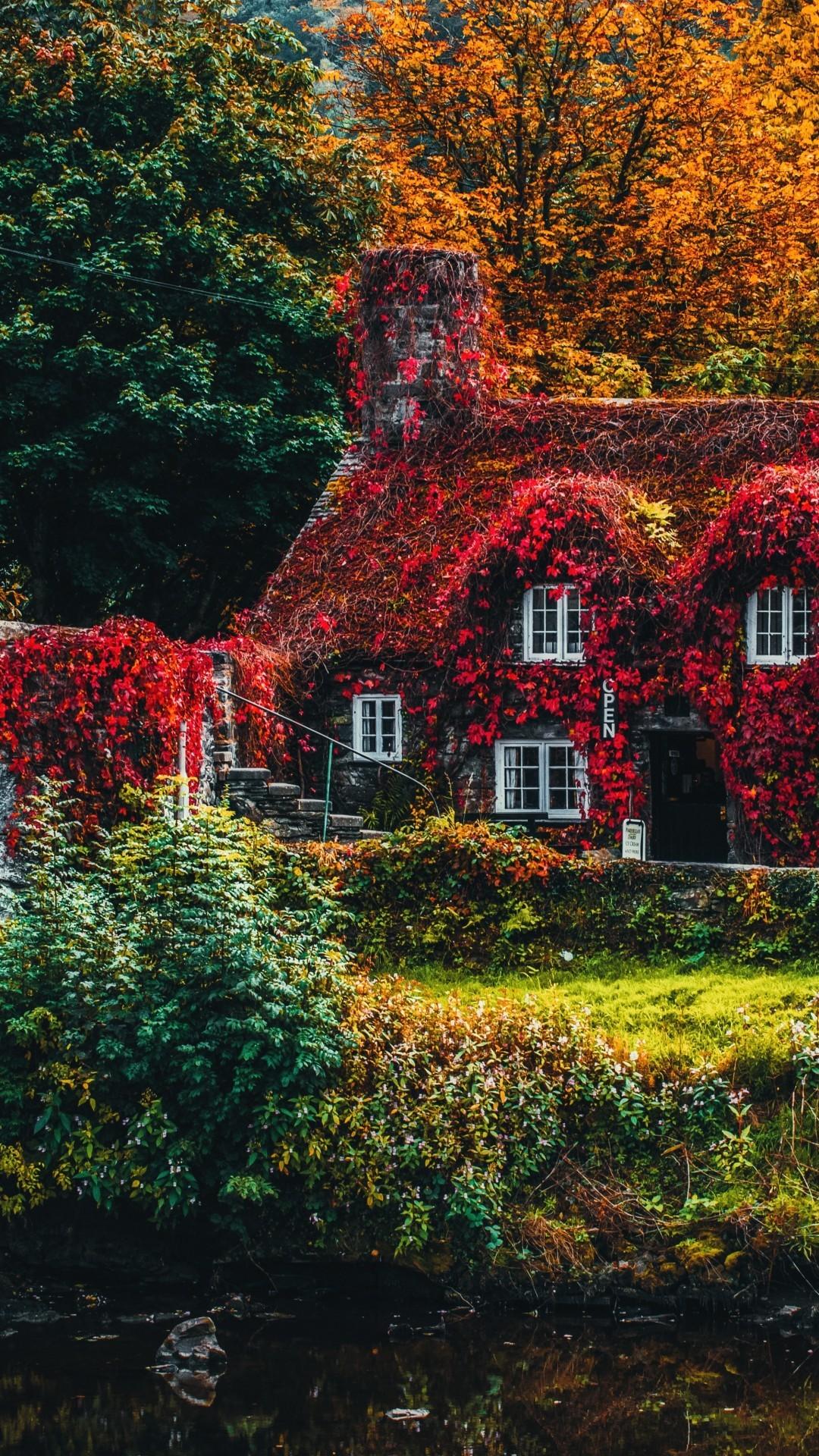 Download 1080x1920 Autumn, Bridge, Leaves, House Wallpaper