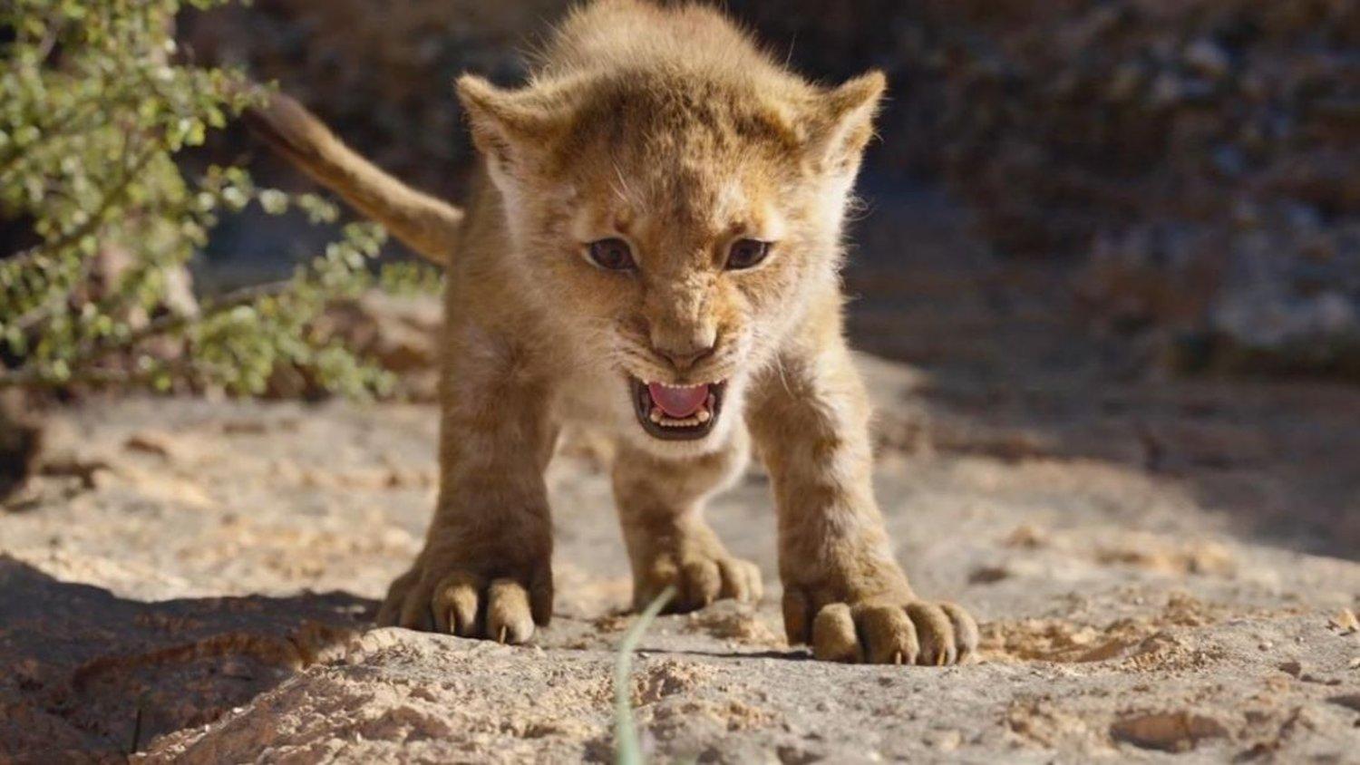 New Clips For THE LION KING Include Circle of Life, Find