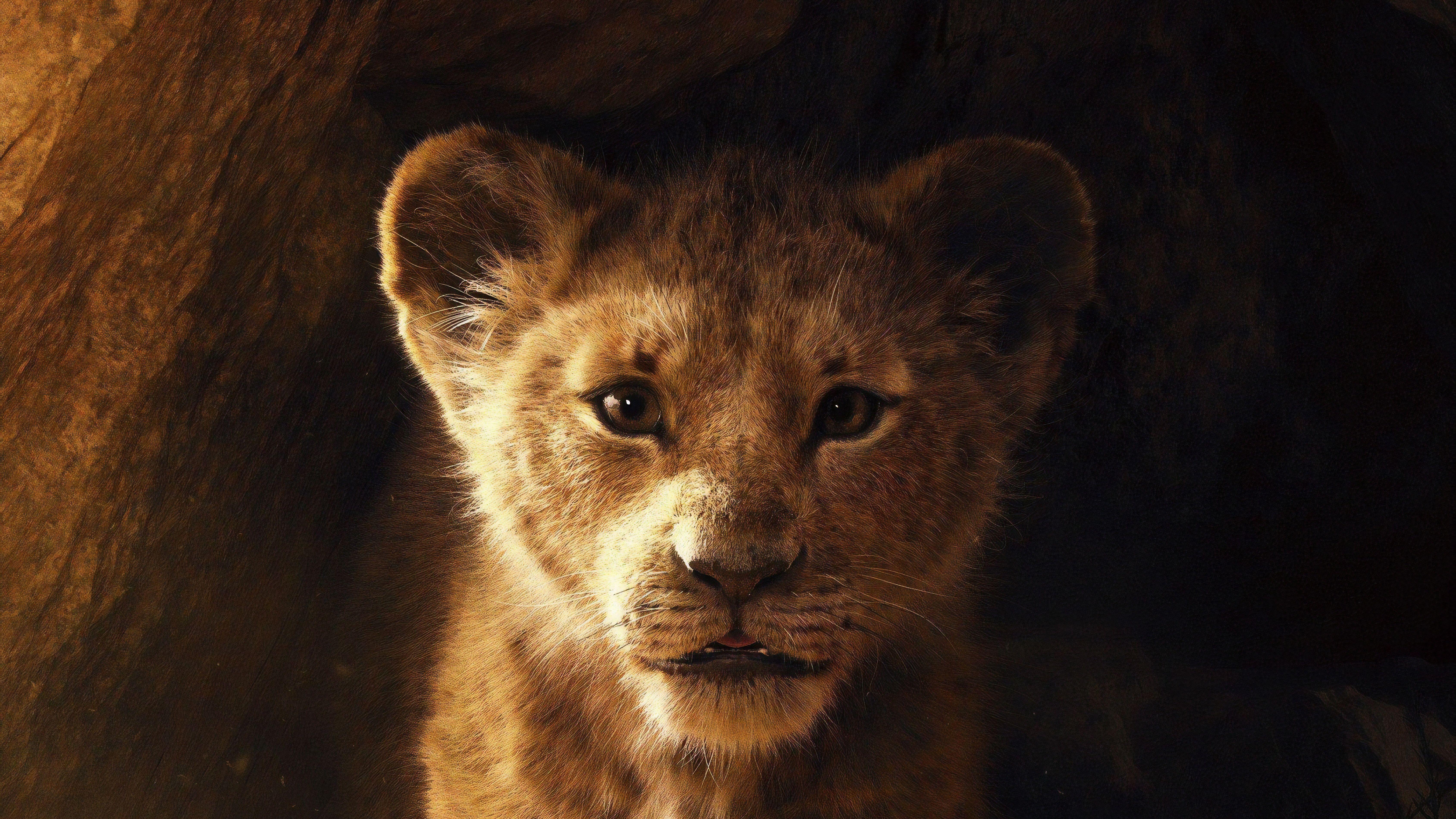 Lion King 4K Wallpaper Free Lion King 4K Background