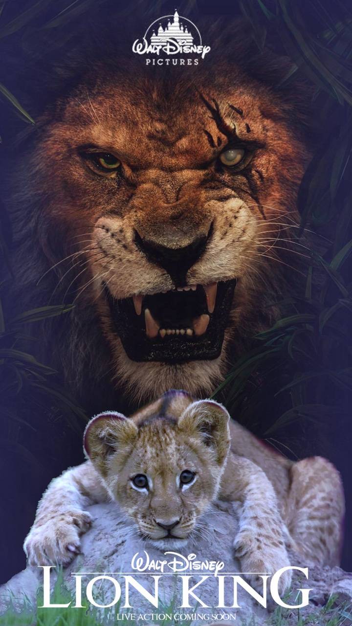 lion king Wallpaper