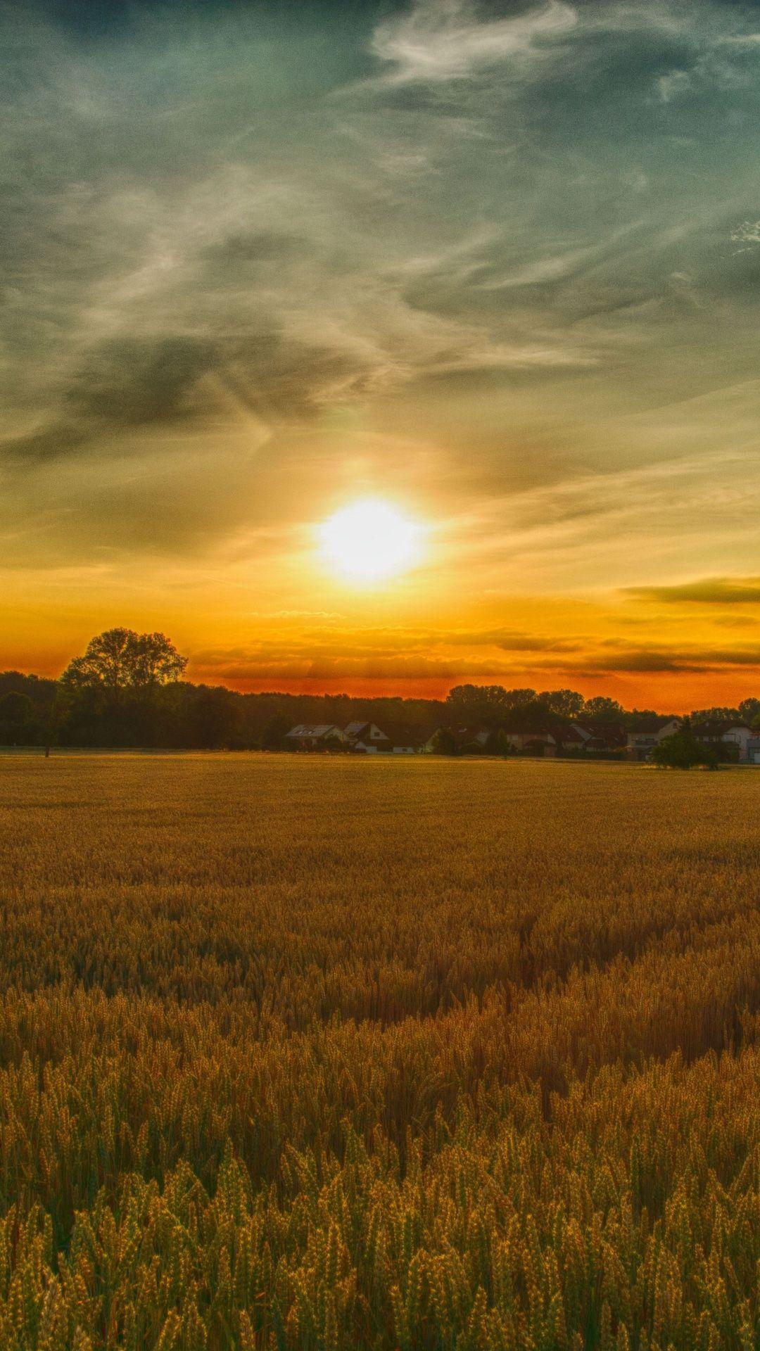 Summer, sunset, farm, landscape, nature, 1080x1920 wallpapers