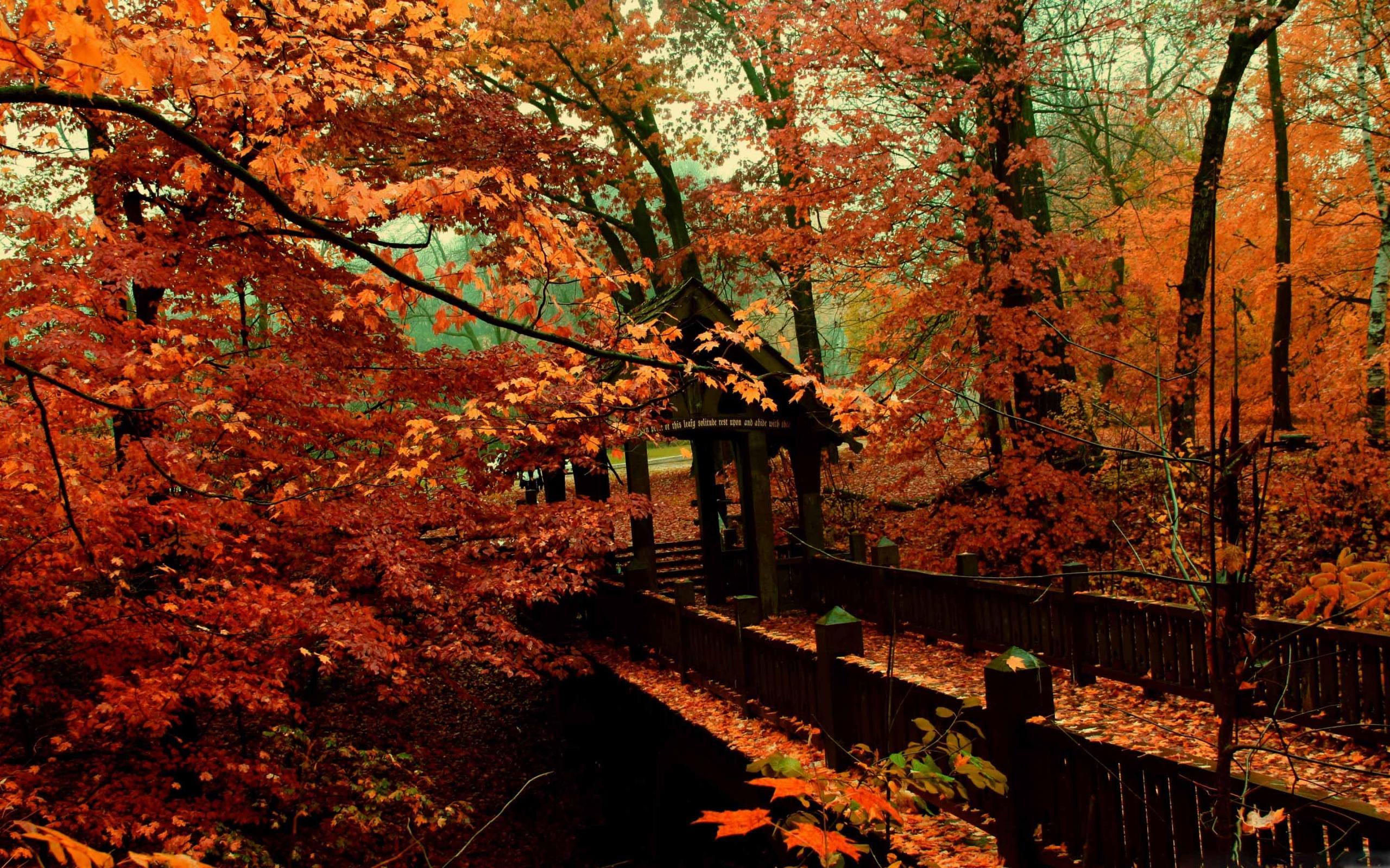 A Bridge To Autumn Mac Wallpaper Download